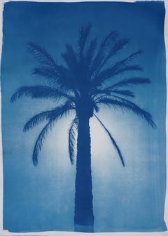 Cairo Citadel Palm, Cyanotype on Paper, Desert Botanical Tree in Blue Tones