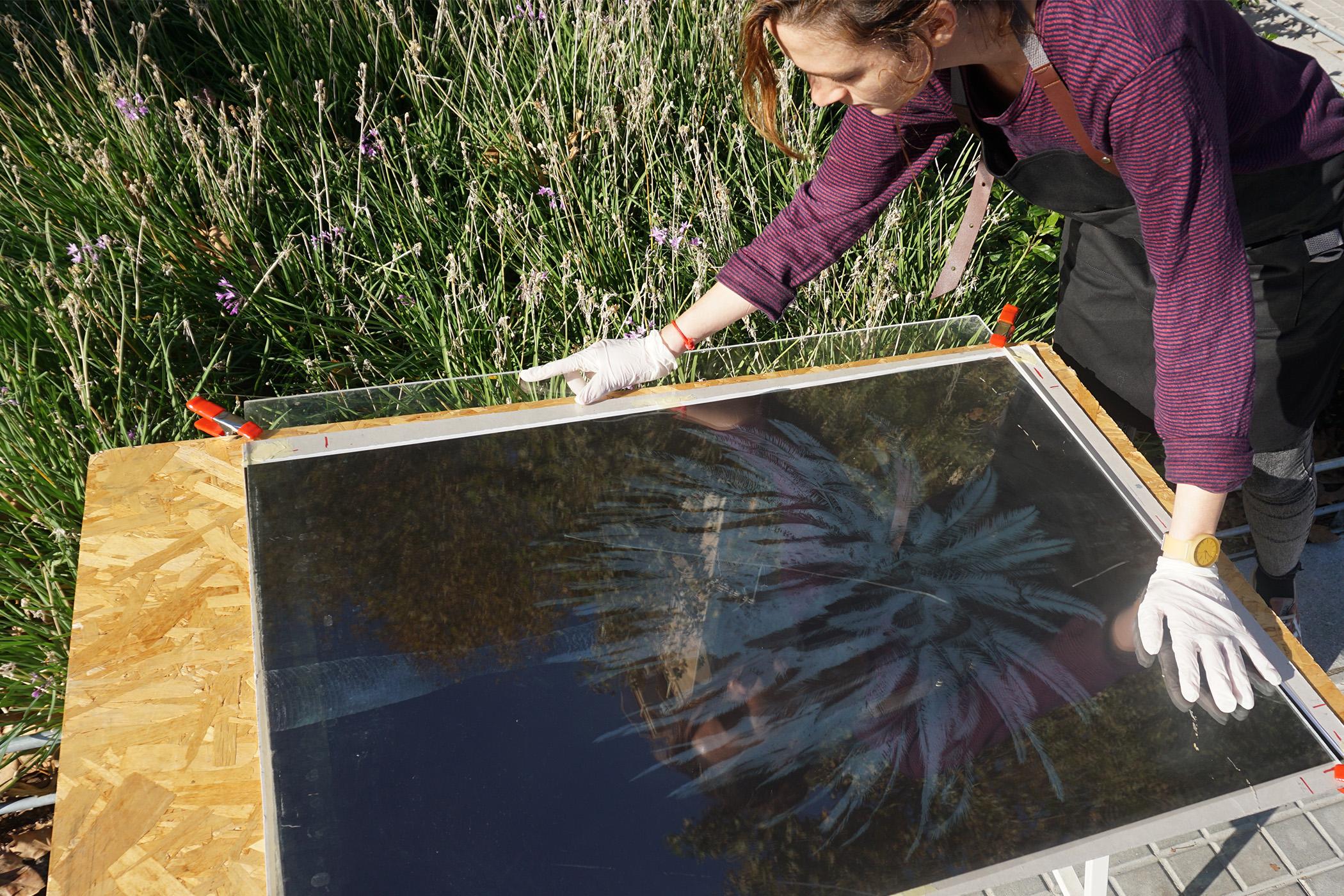 Klassische botanische Zyanotypie, handgefertigt mit natürlichem Sonnenlicht, limitierte Auflage  im Angebot 6