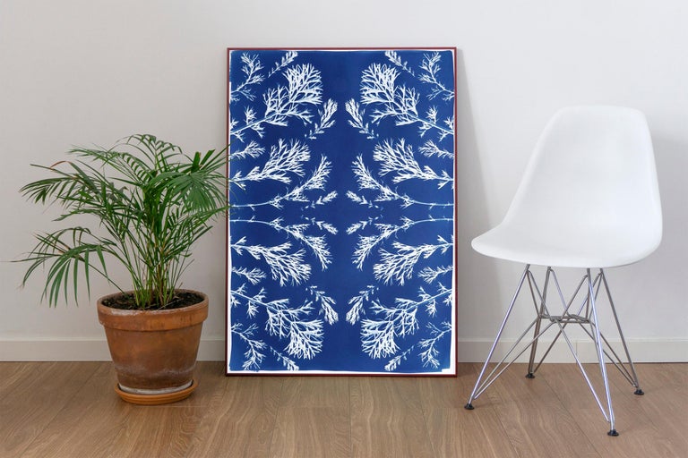 Classic Botanical Cyanotype, Handmade Using Natural Sunlight, Limited Edition  - Painting by Kind of Cyan