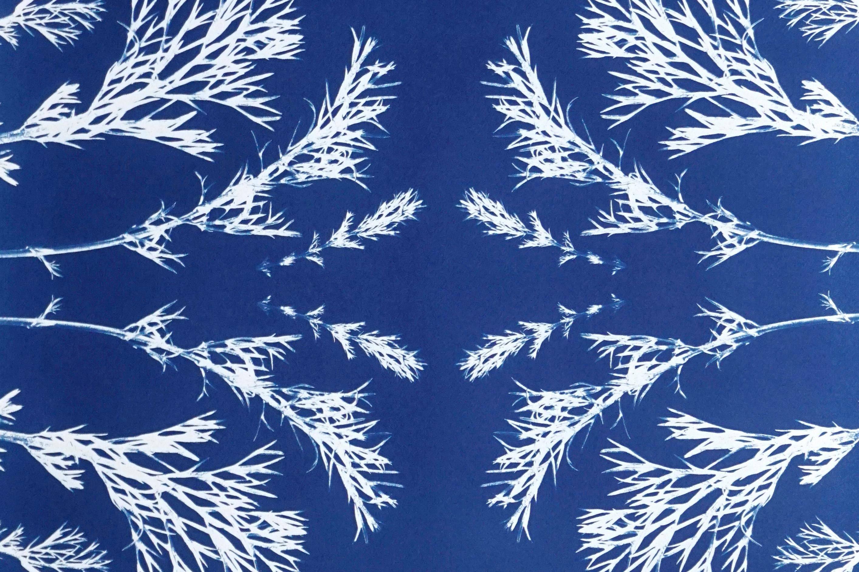 Cyanotype botanique classique, fabriqué à la main à l'aide de lumière du soleil naturelle, édition limitée  - Modernisme américain Print par Kind of Cyan