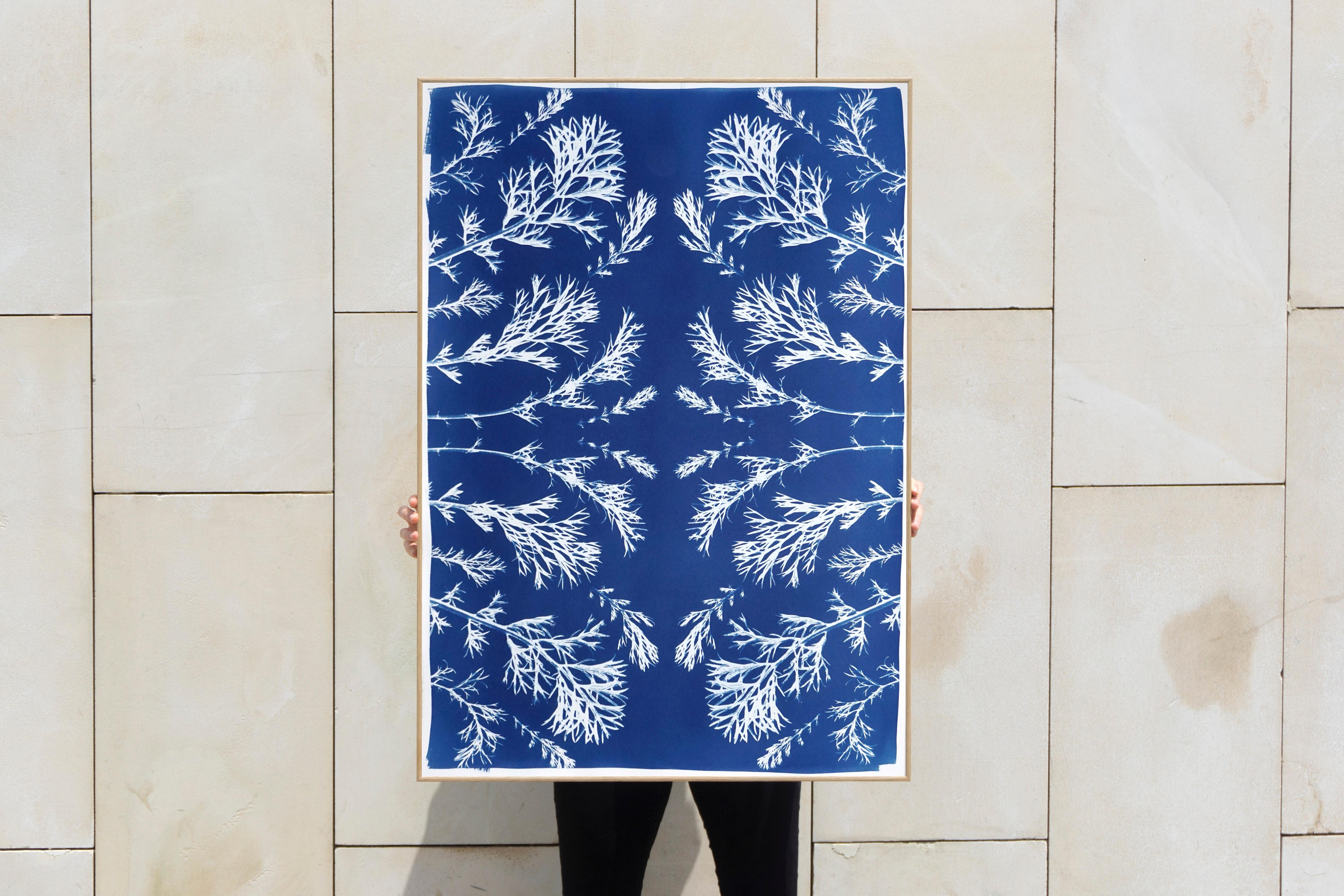 Classic Botanical Cyanotype, Handmade Using Natural Sunlight, Limited Edition  - American Modern Painting by Kind of Cyan