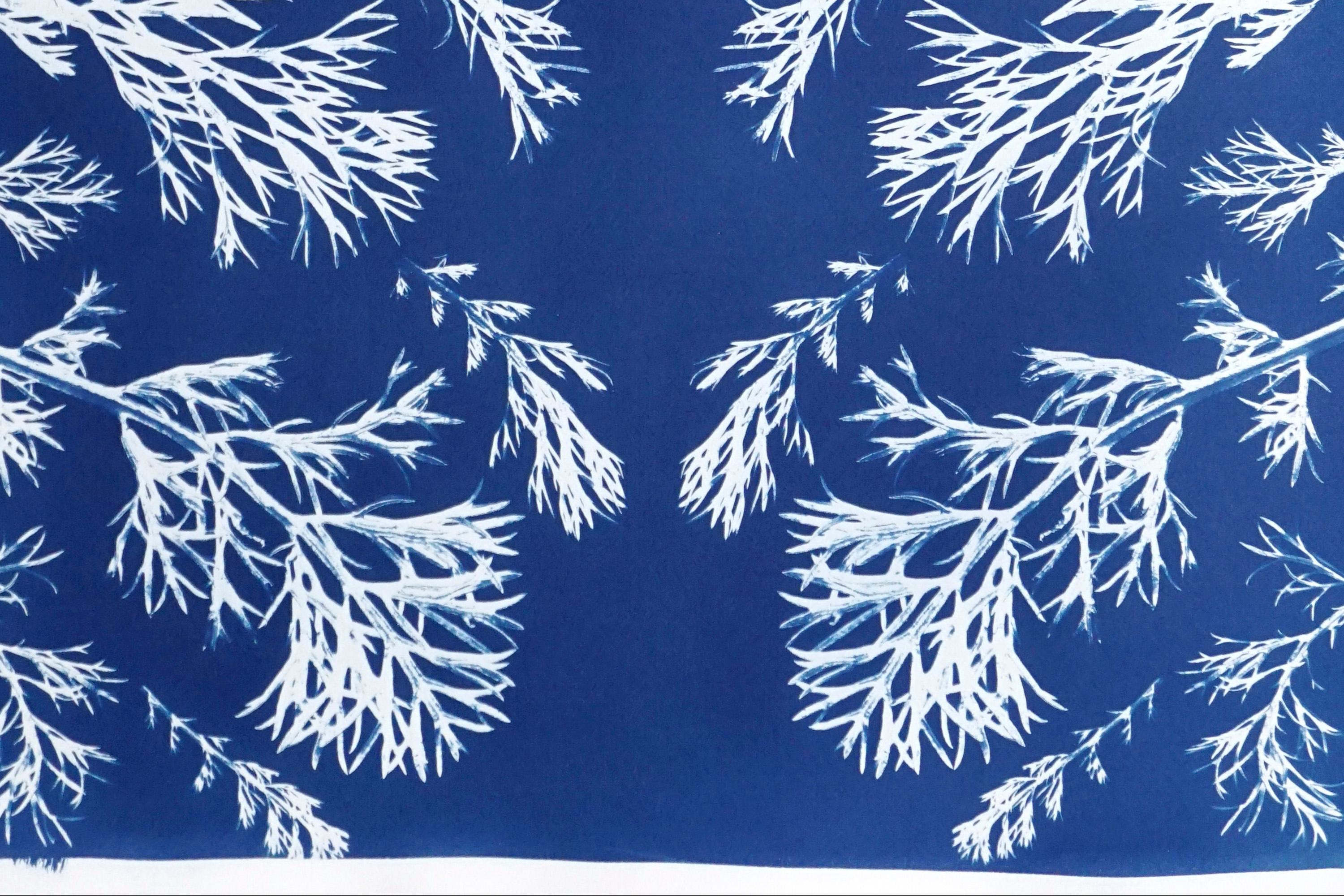 Classic Botanical Cyanotype, Handmade Using Natural Sunlight, Limited Edition - Blue Still-Life Painting by Kind of Cyan