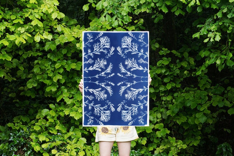 Classic Botanical Cyanotype, Handmade Using Natural Sunlight, Limited Edition  For Sale 3