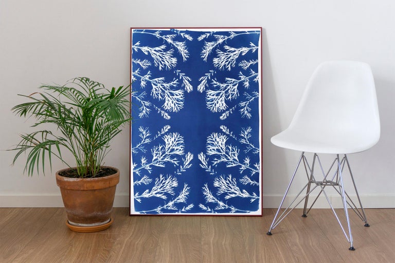 Classic Botanical Cyanotype of Vintage Pressed Flowers, Artisan Made, Blue Tones - Print by Kind of Cyan