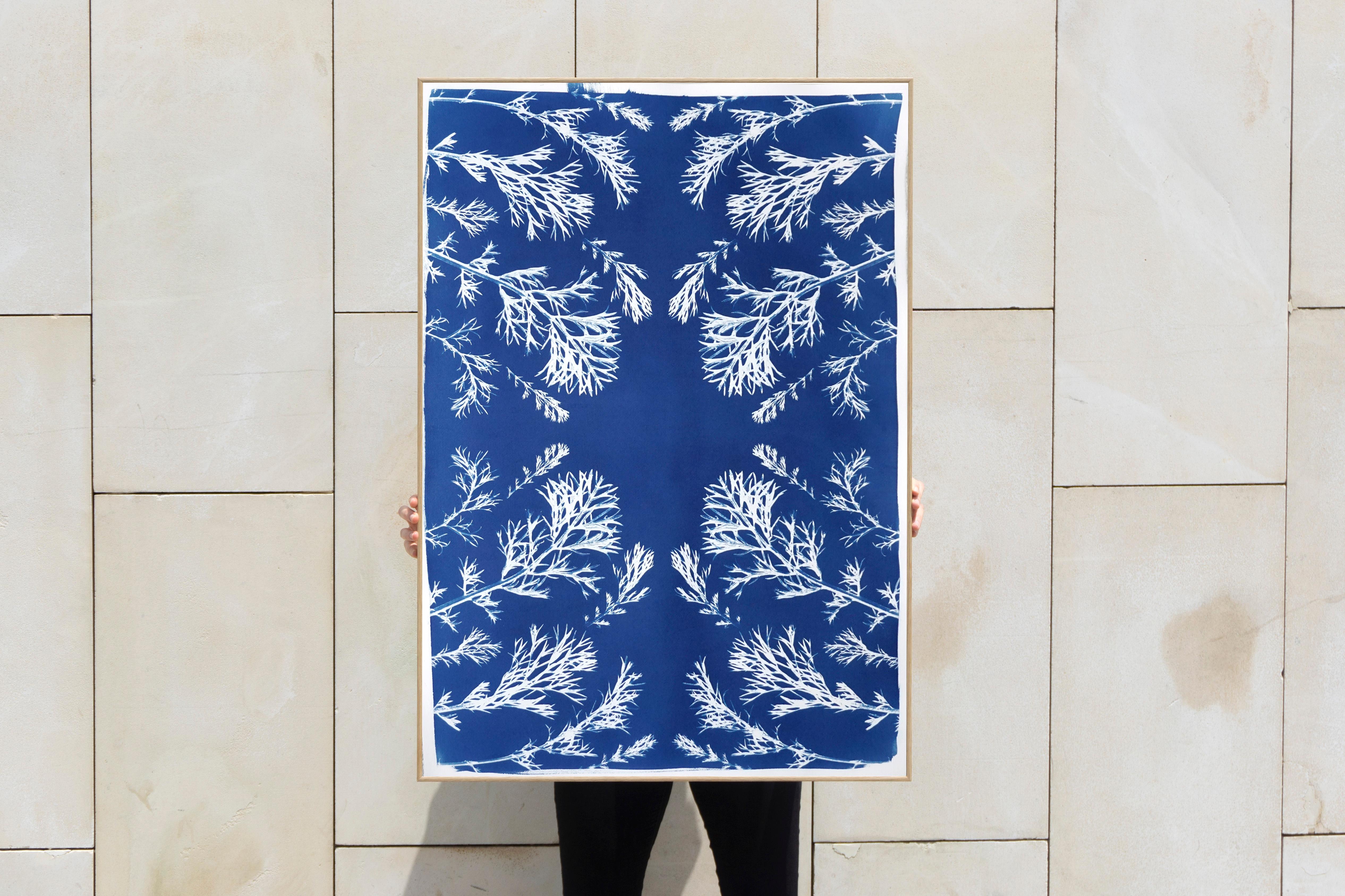 cyanotype flowers