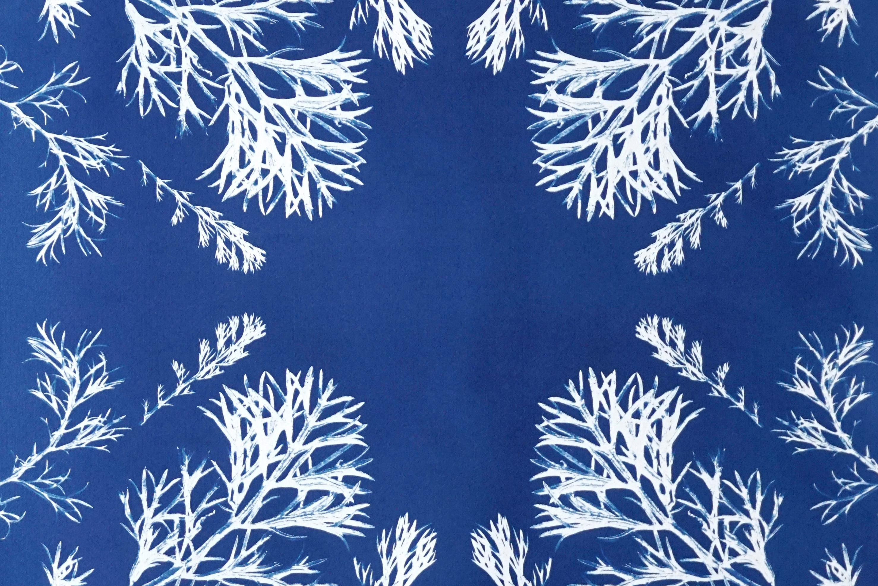 Klassische botanische Zyanotypie aus gepressten Blumen im Vintage-Stil, handwerklich hergestellt, blaue Töne (Blau), Still-Life Painting, von Kind of Cyan