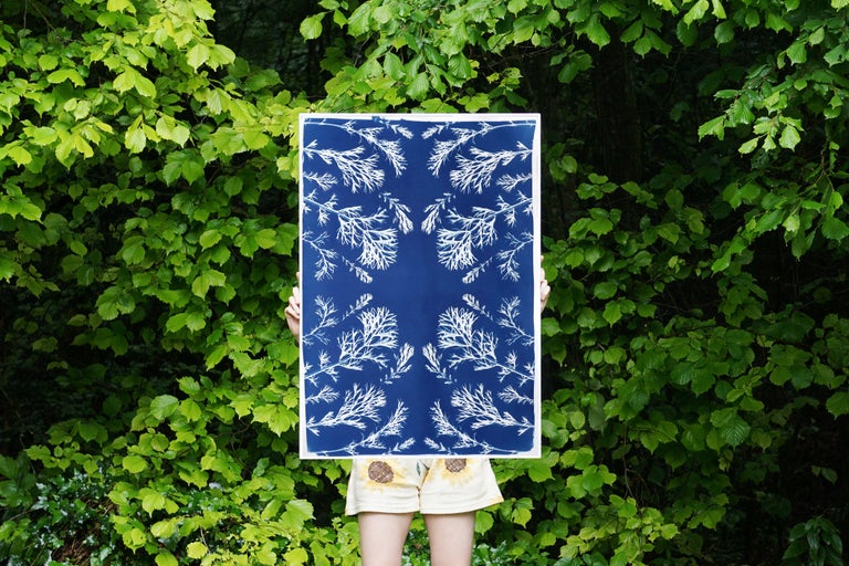 Classic Botanical Cyanotype of Vintage Pressed Flowers, Artisan Made, Blue Tones For Sale 3