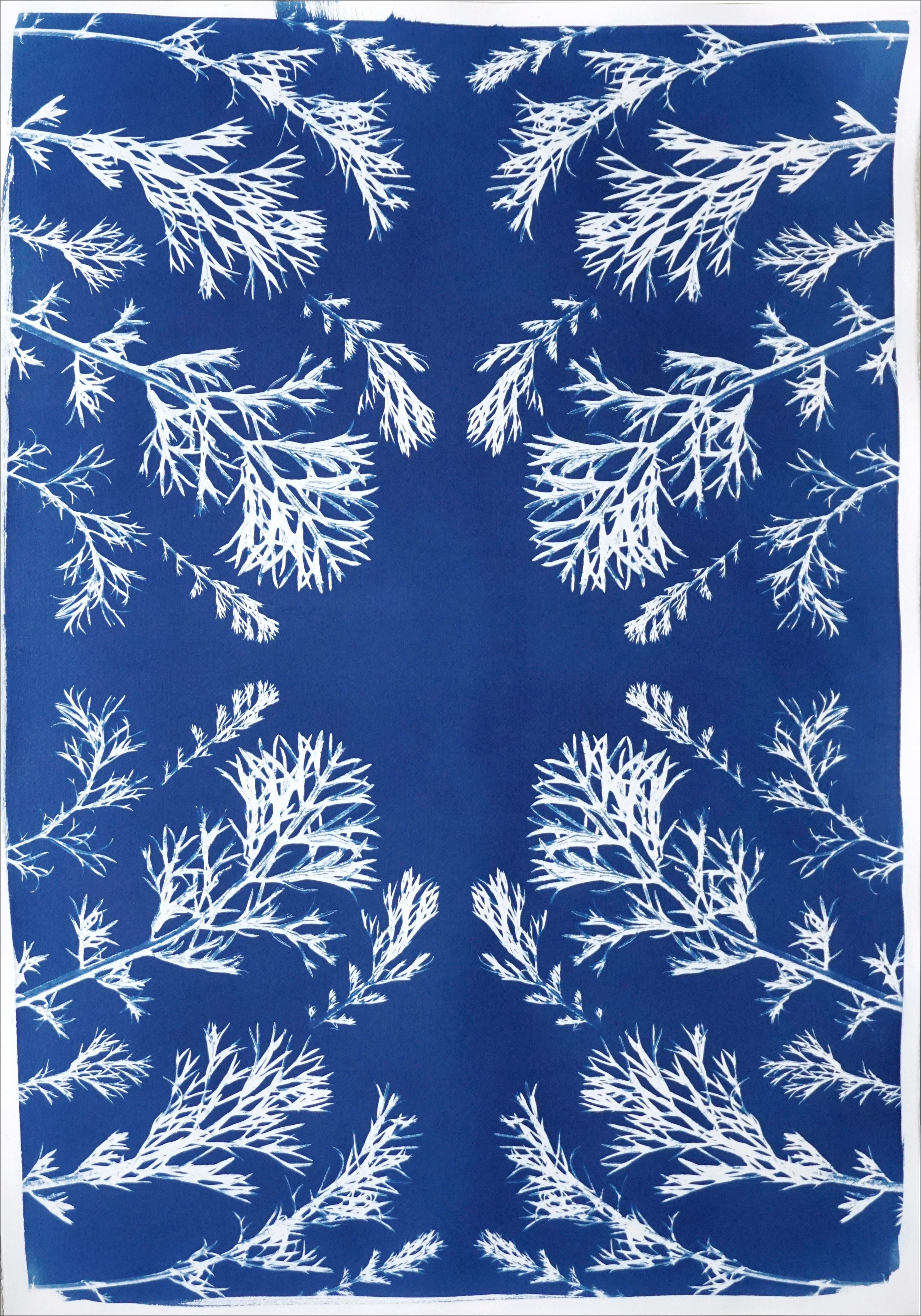 Klassische botanische Zyanotypie aus gepressten Blumen im Vintage-Stil, handwerklich hergestellt, blaue Töne