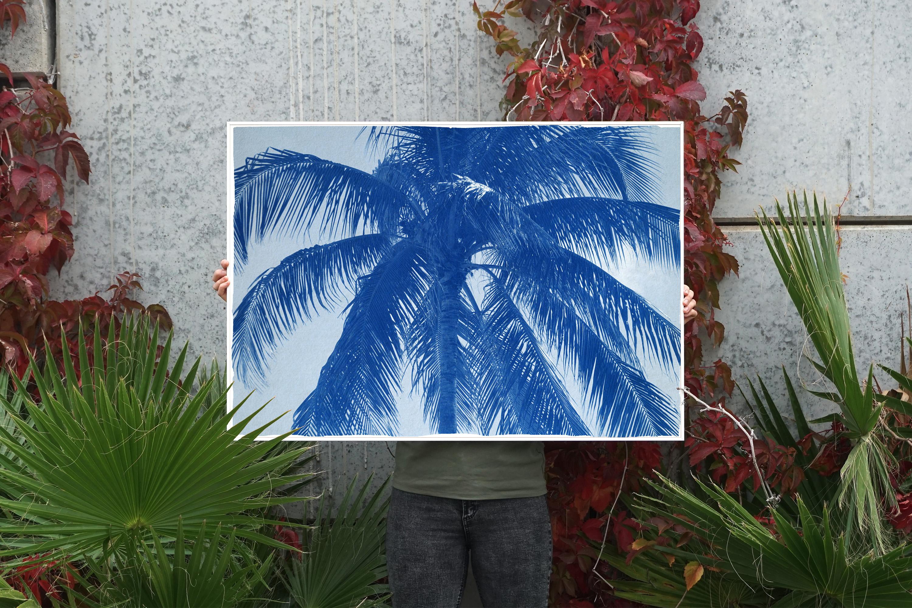 Palme de noix de coco, grande impression botanique, style tropical dans les tons bleus, limitée - Art déco Photograph par Kind of Cyan