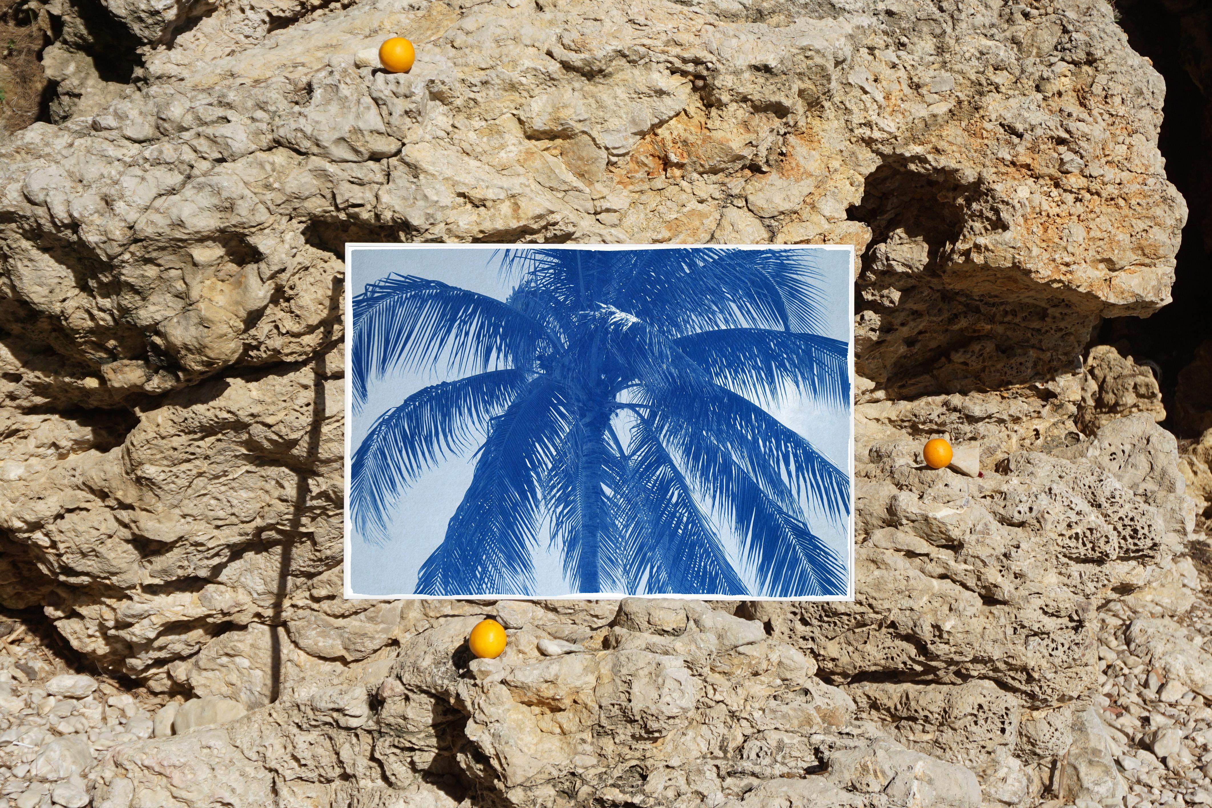 Il s'agit d'un cyanotype exclusif imprimé à la main en édition limitée d'une belle feuille de palmier. 

Détails :
+ Titre : Cocotier
+ Année : 2021
+ Taille de l'édition : 100
+ Tampon et certificat d'authenticité fournis
+ Mesures : 70x100 cm (28x