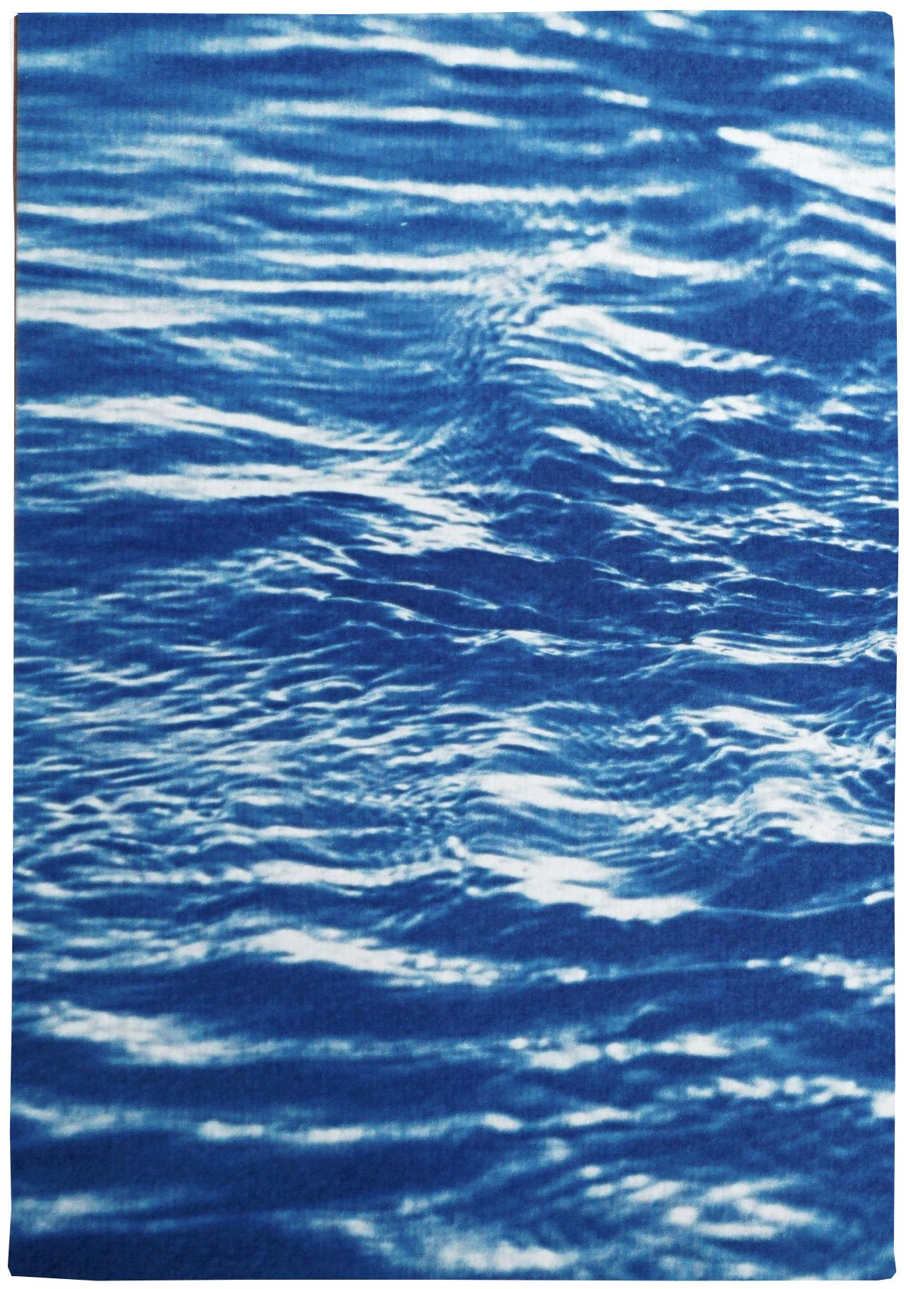 This series of cyanotype triptychs showcases the beauty of nature scenes, including stunning beaches and oceans, as well as the intricate textures of water, forests, and skies. These triptychs are large pieces that feature lush blues, making them an