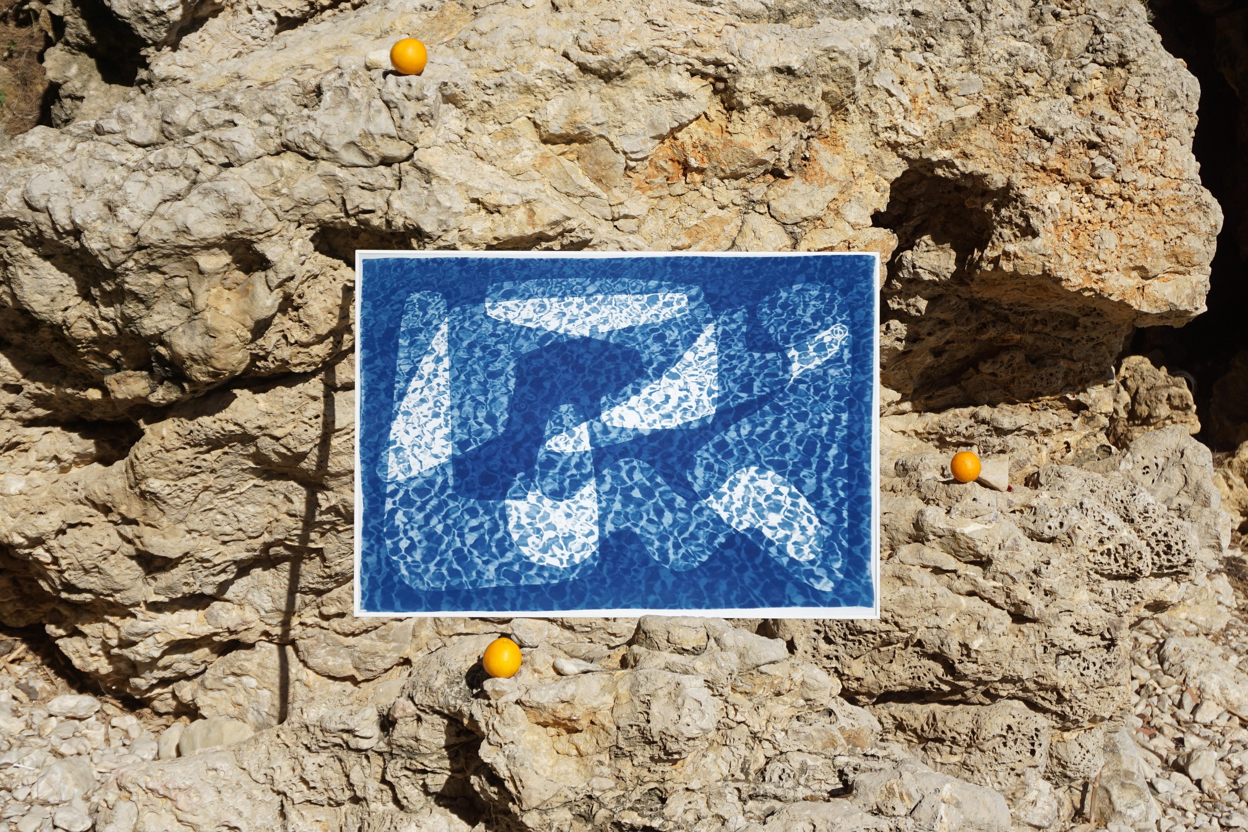 cyanotype art contemporain