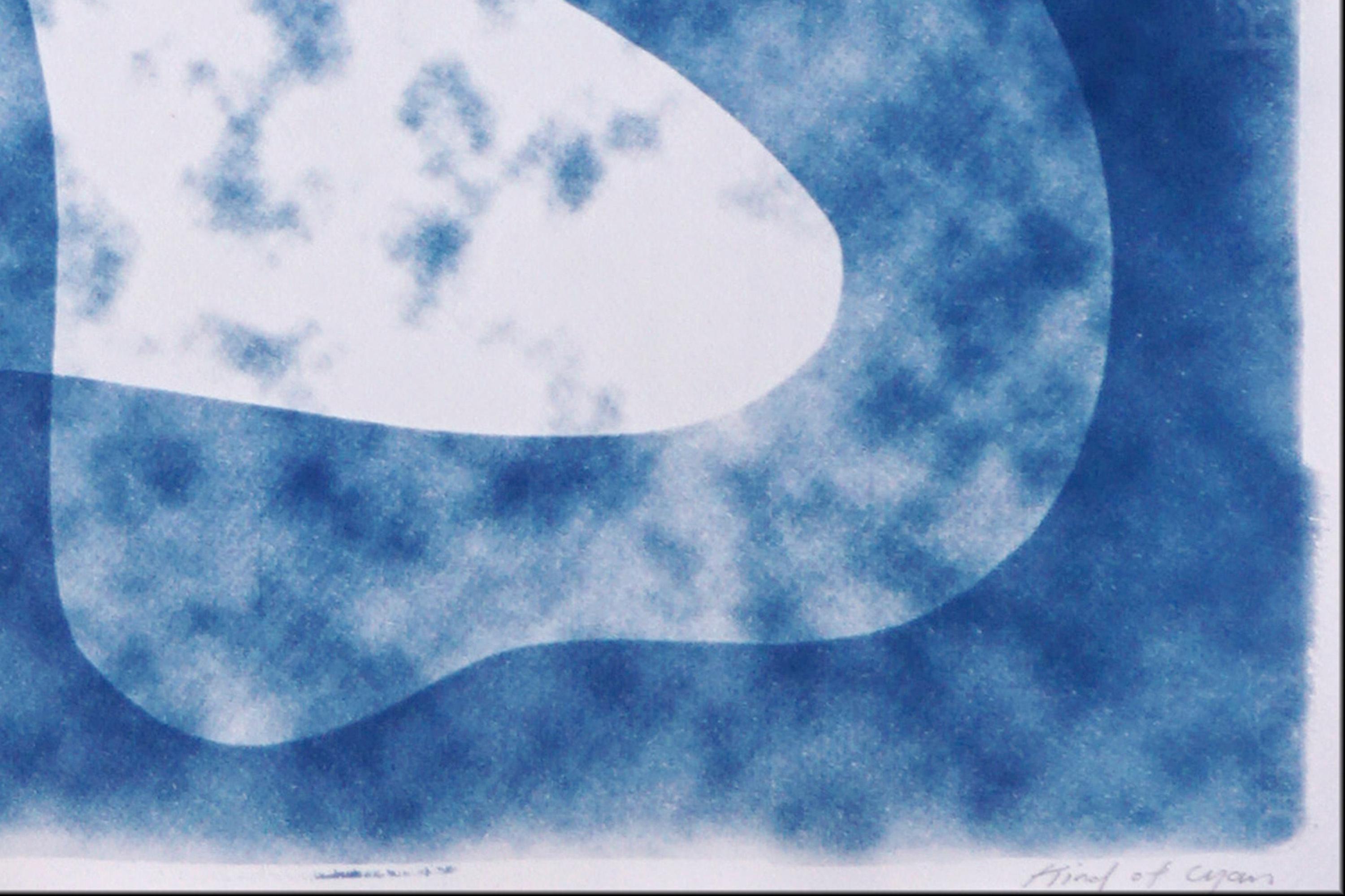 Dark Cloudy Shapes, Mid-Century Modern Kidney Forms, Blue and White Transparency - Abstract Photograph by Kind of Cyan