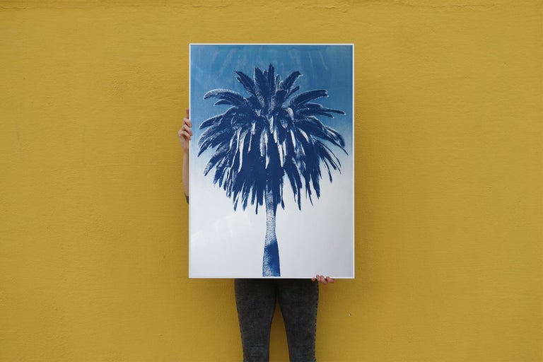 Extra Large Botanical Cyanotype of Marrakesh Majorelle Palm, Blue Tree on Paper 3