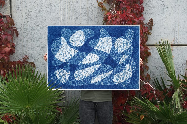 Fish Swimming Below Water, Fresh Blue Tones Cyanotype Print, Pool Art on Paper For Sale 4