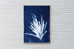 Silhouette gestuelle d'une explosion de feux d'artifice, cyanotype nouveau bleu foncé
