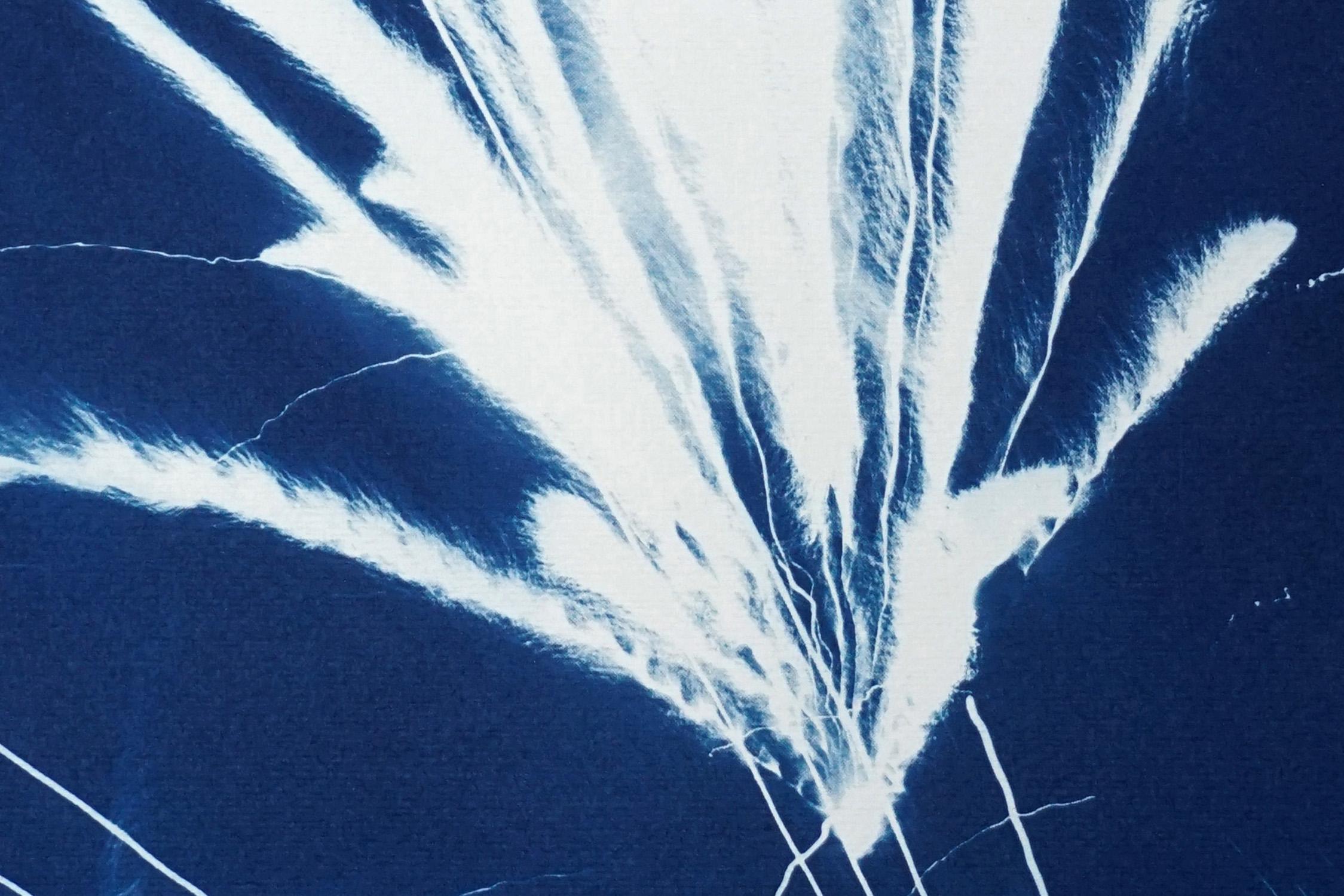Gestual Silhouette of Sparkling Firework Burst, Nocturnal Deep Blue Cyanotype  - Abstract Print by Kind of Cyan
