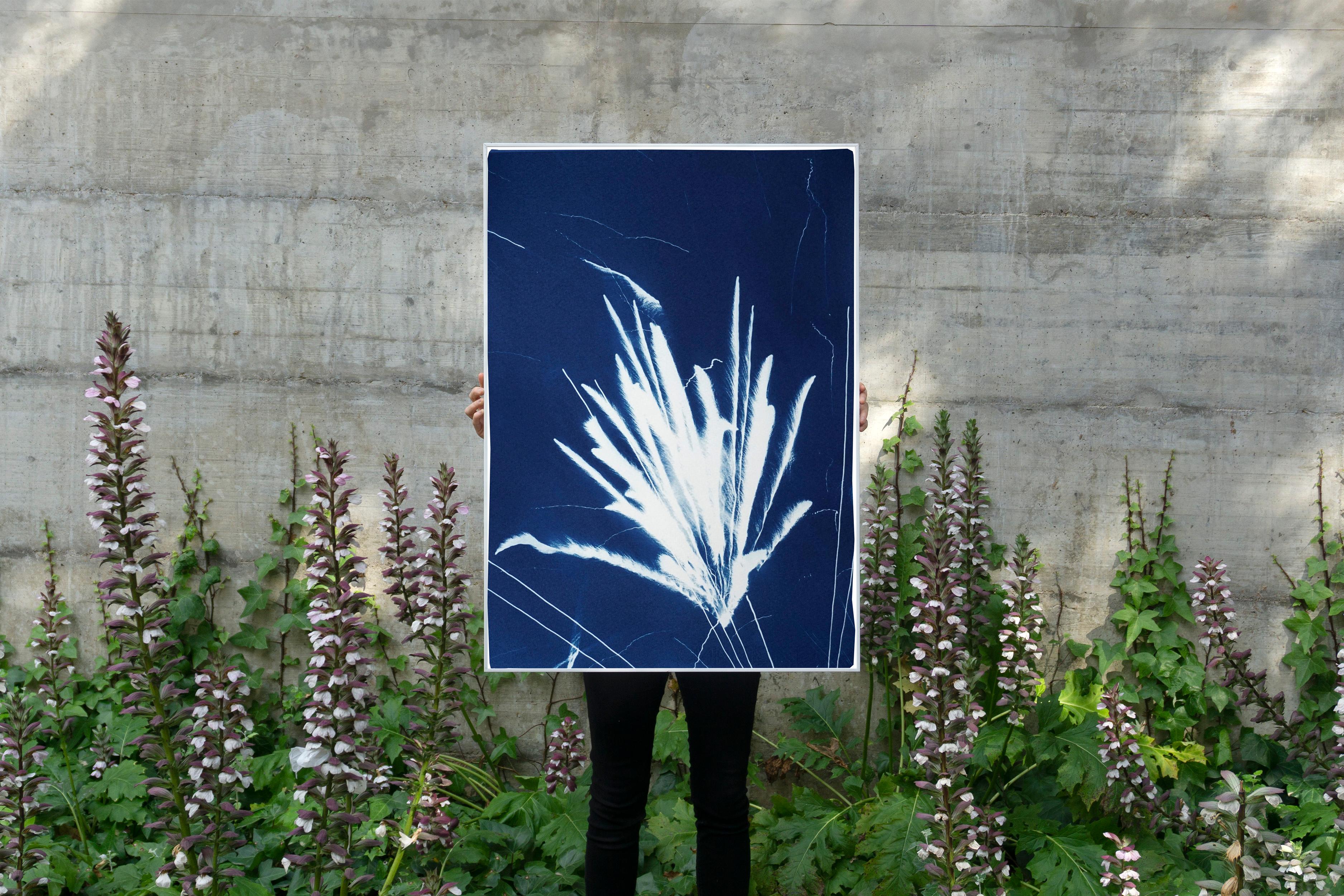 Silhouette gestuelle d'une explosion de feux d'artifice, cyanotype nouveau bleu foncé - Bleu Landscape Print par Kind of Cyan