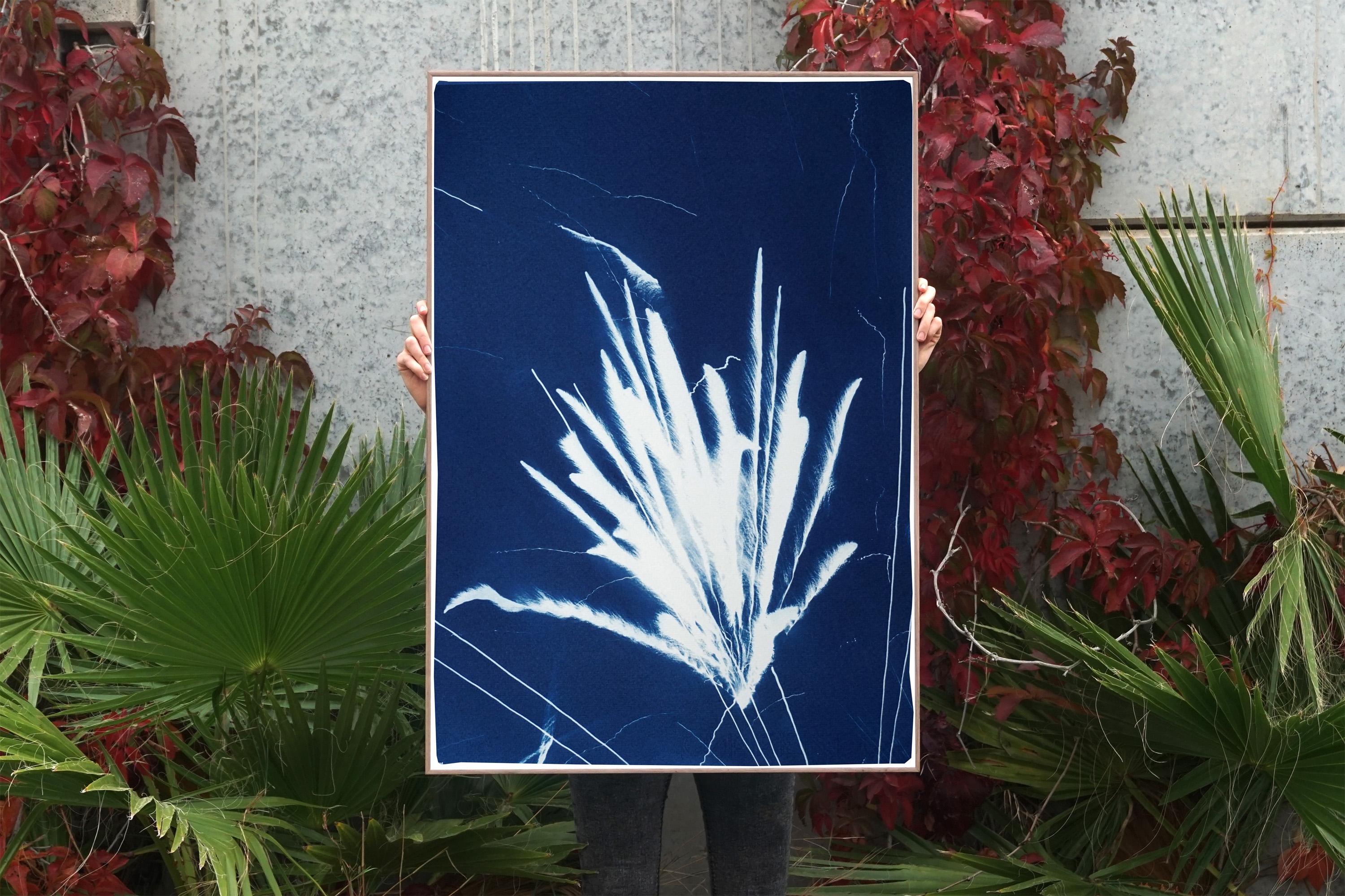 Gestual Silhouette of Sparkling Firework Burst, Nocturnal Deep Blue Cyanotype  For Sale 1