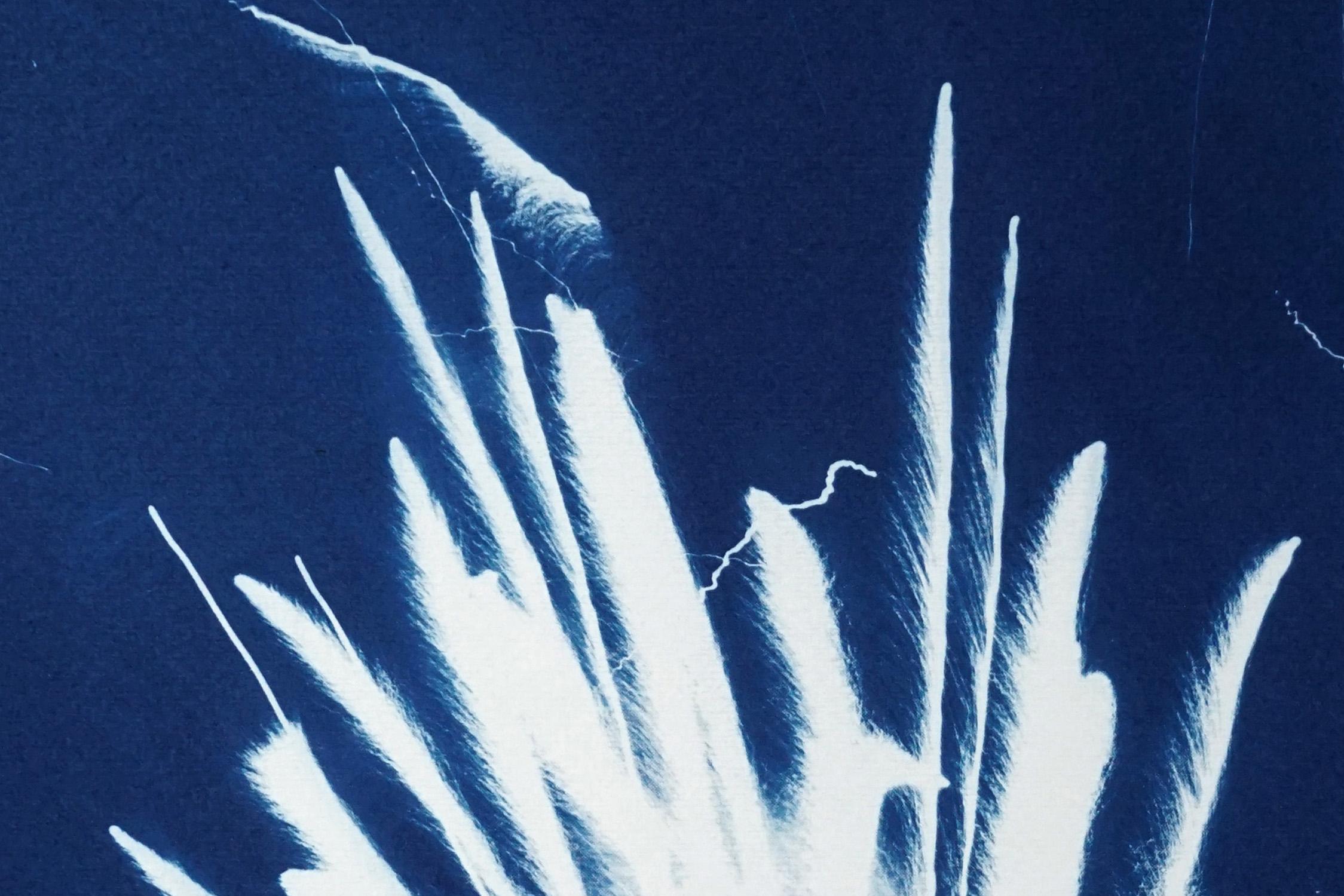 Gestual Silhouette of Sparkling Firework Burst, Nocturnal Deep Blue Cyanotype  For Sale 2