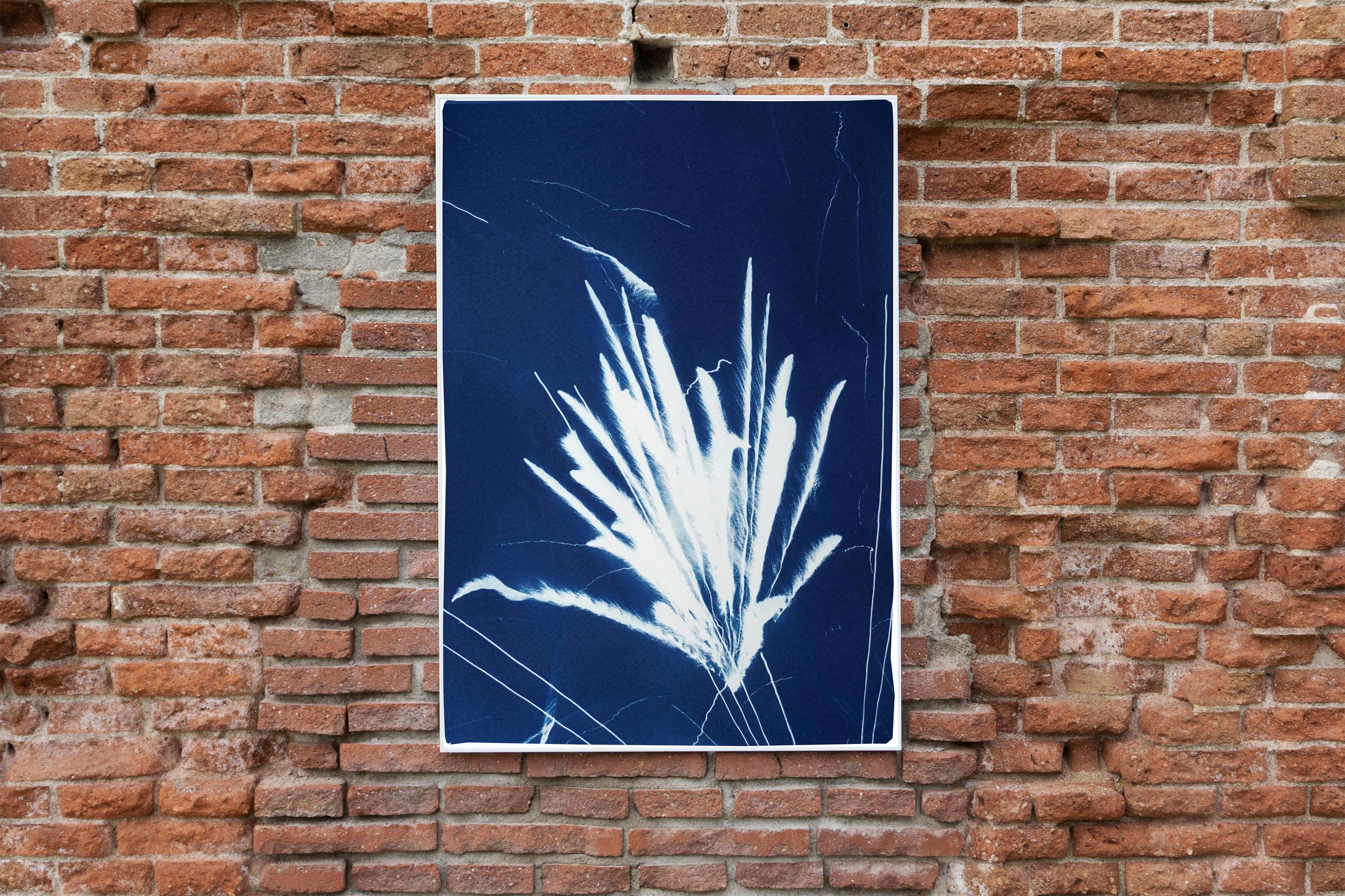 Gestual Silhouette of Sparkling Firework Burst, Nocturnal Deep Blue Cyanotype  For Sale 3