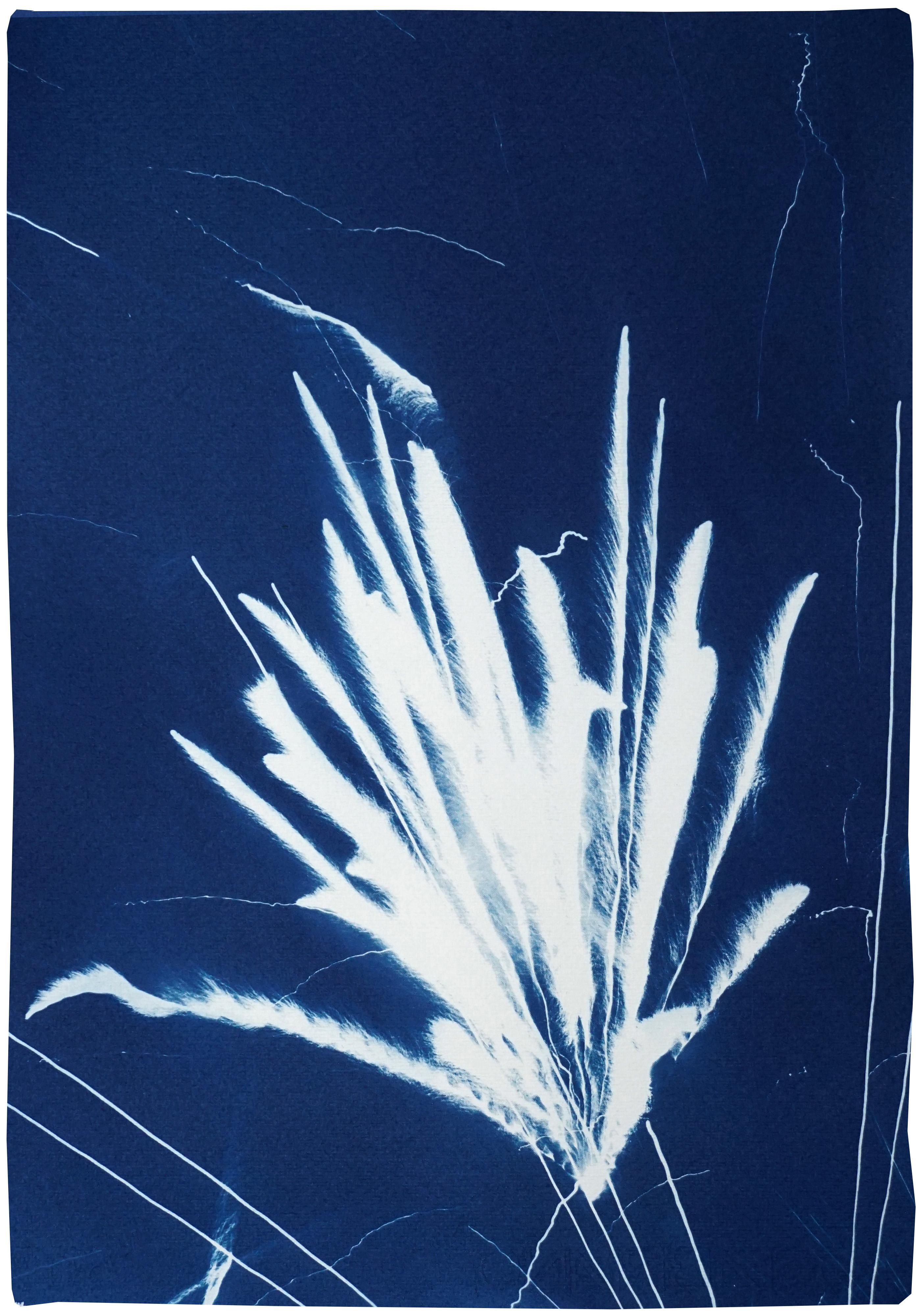 Kind of Cyan Landscape Print - Gestual Silhouette of Sparkling Firework Burst, Nocturnal Deep Blue Cyanotype 