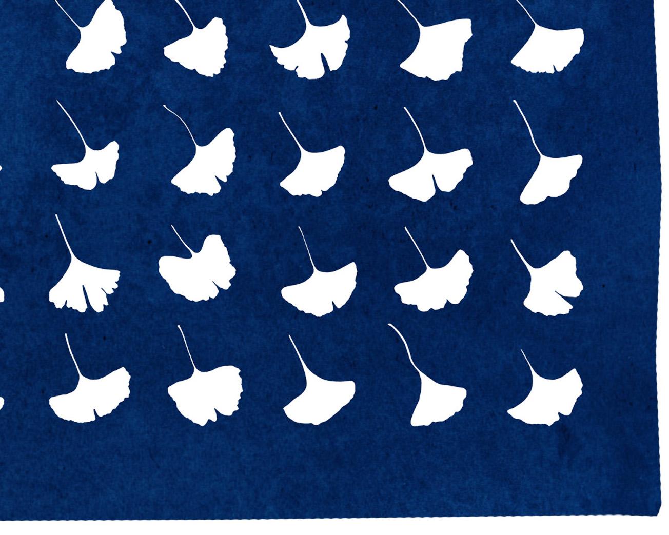 Gingko Leaf Explosion, Pressed Flowers, White and Blue Handmade Botanical Print - Baroque Photograph by Kind of Cyan