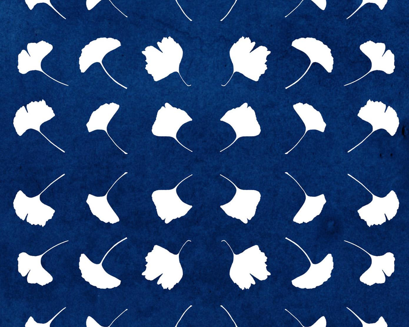 This is an exclusive handprinted limited edition cyanotype.

Details:
+ Title: Gingko Leaf Explosion
+ Year: 2024
+ Edition Size: 100
+ Stamped and Certificate of Authenticity provided
+ Measurements : 70x100 cm (28x 40 in.), a standard frame size
+