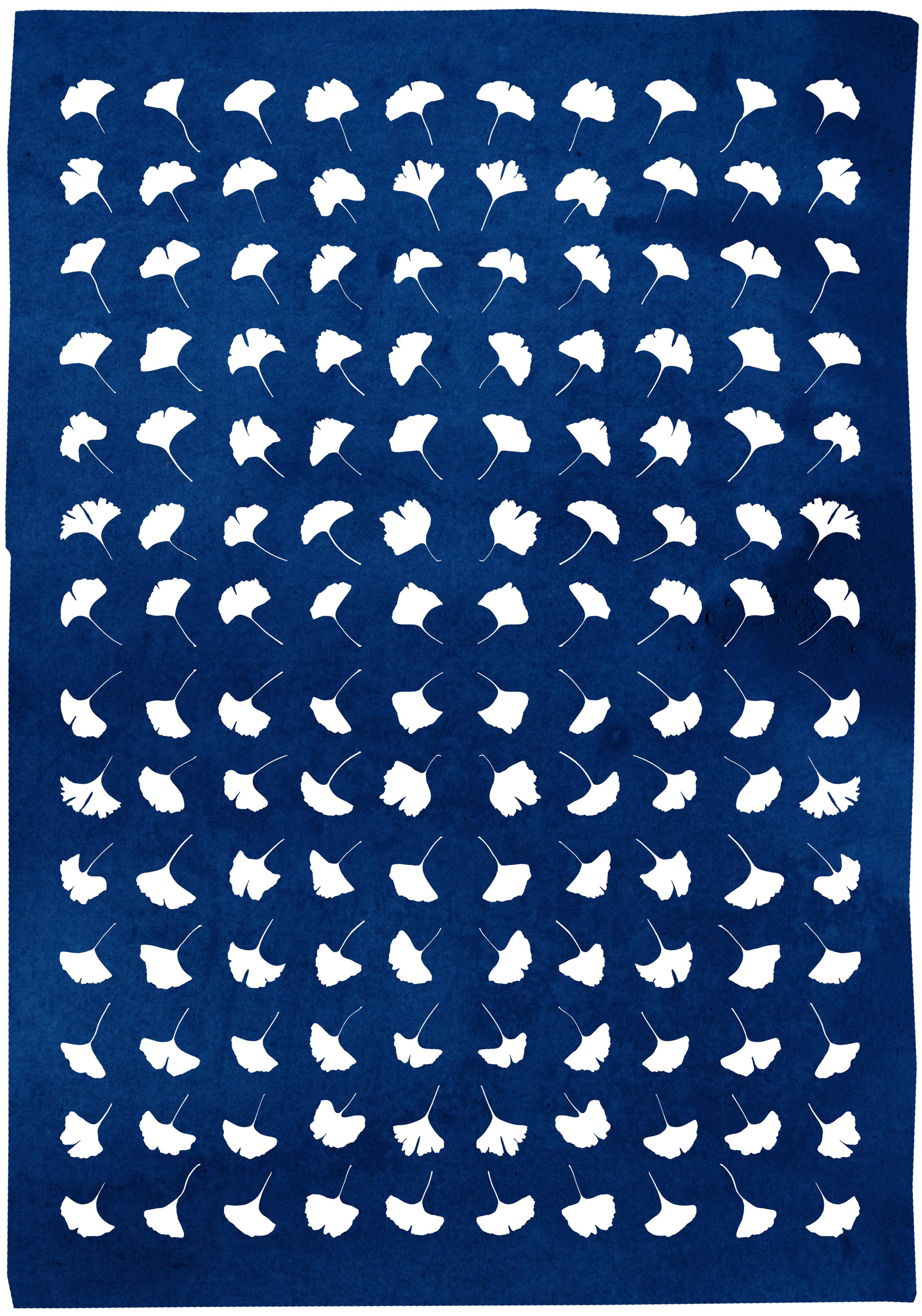 Kind of Cyan Still-Life Print – Gingko Blatt Explosion, gepresste Blumen, weißer und blauer handgefertigter botanischer Druck
