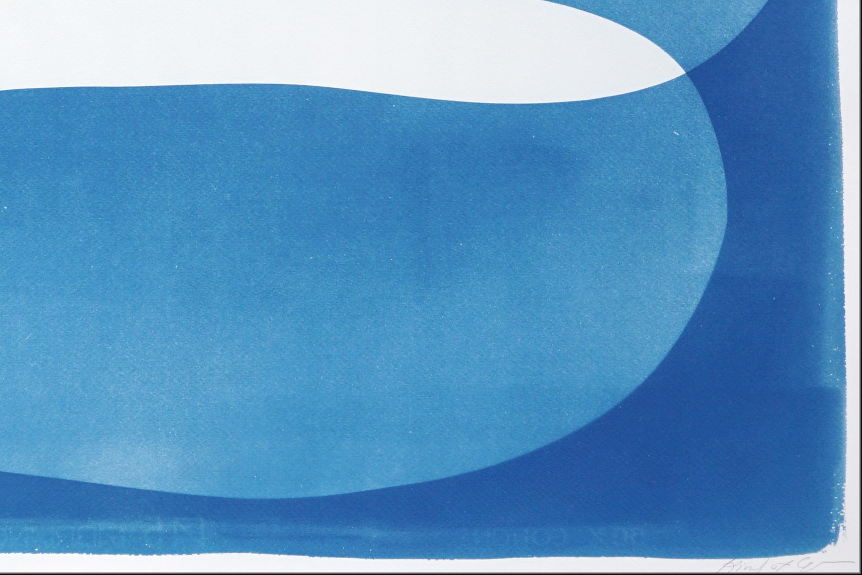 Grand Canyon River, organischer Minimalismus, sanfte blaue Cyanotypie, abstrakte Landschaft im Angebot 4