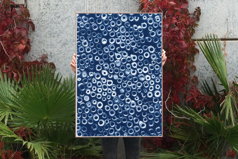 Handmade Cyanotype of Organic Bamboo Circles, Blue Tones Cyanotype Print, Paper For Sale 2
