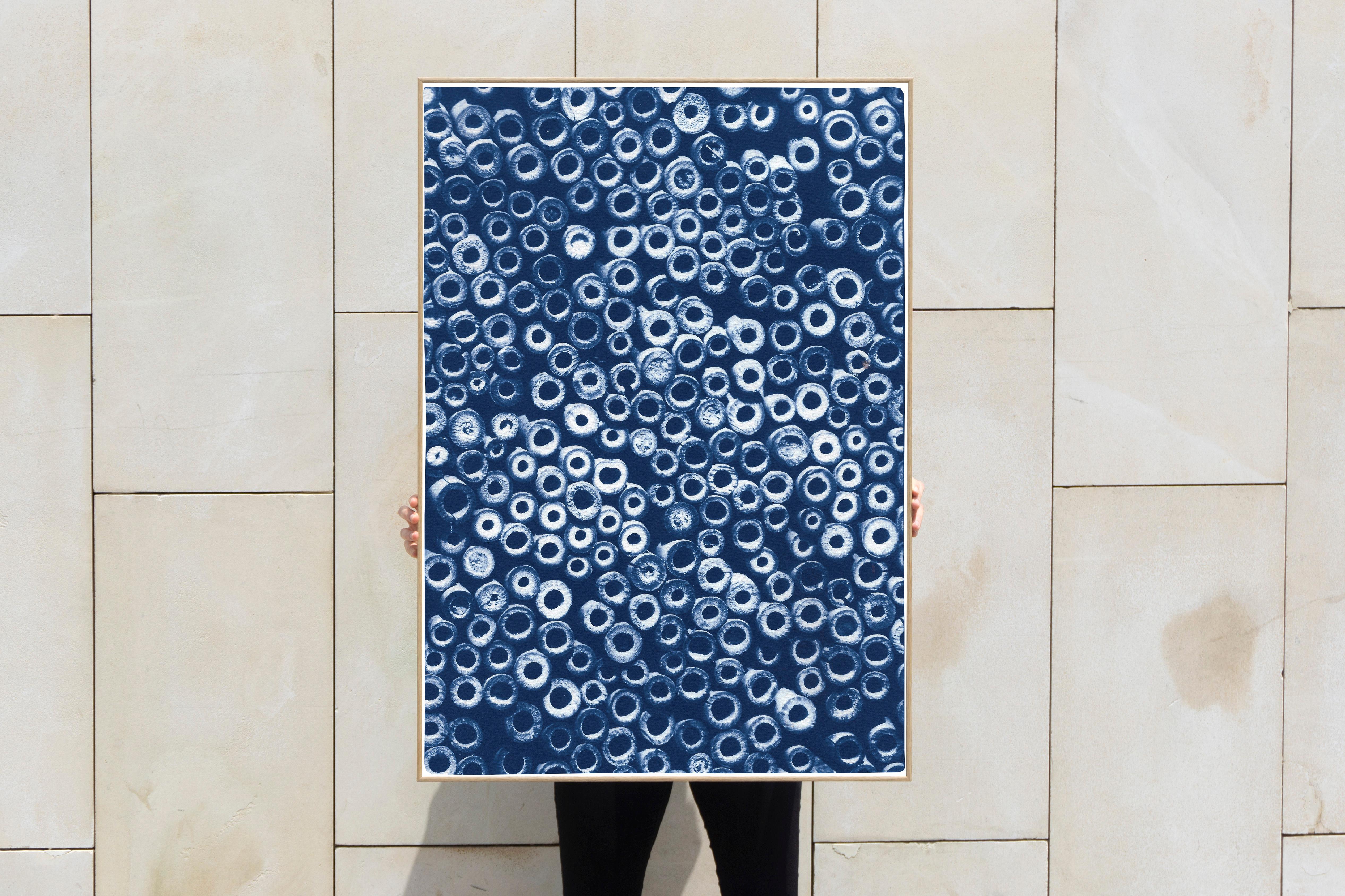 This is an exclusive handprinted limited edition cyanotype of a beautiful pile of cut bamboo circles.

Details:
+ Title: Cut Bamboo Circles 
+ Year: 2021
+ Edition Size: 100
+ Stamped and Certificate of Authenticity provided
+ Measurements : 70x100