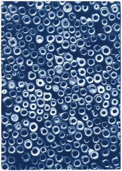 Handmade Cyanotype of Organic Bamboo Circles, Blue Tones Cyanotype Print, Paper