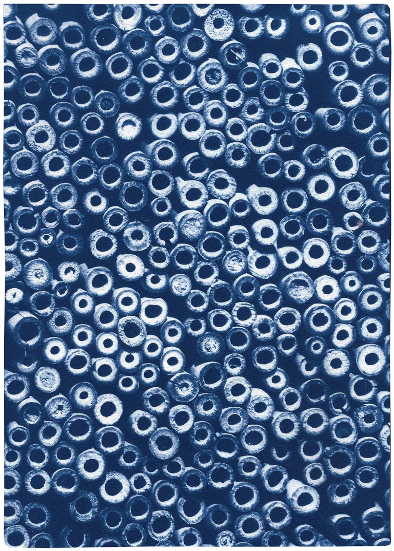 Kind of Cyan Landscape Print - Handmade Cyanotype of Organic Bamboo Circles, Blue Tones Cyanotype Print, Paper