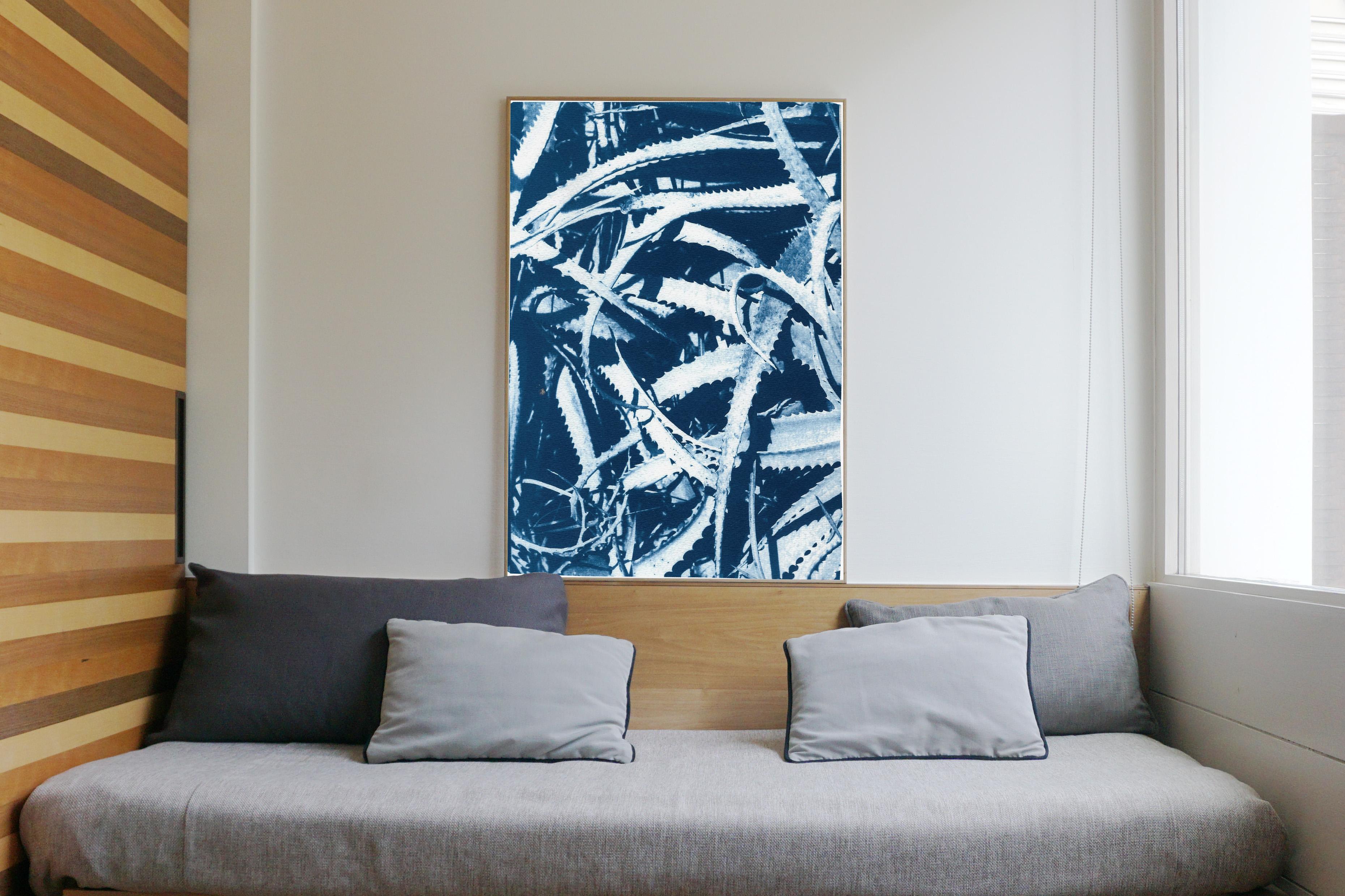 blue nile botanicals photos