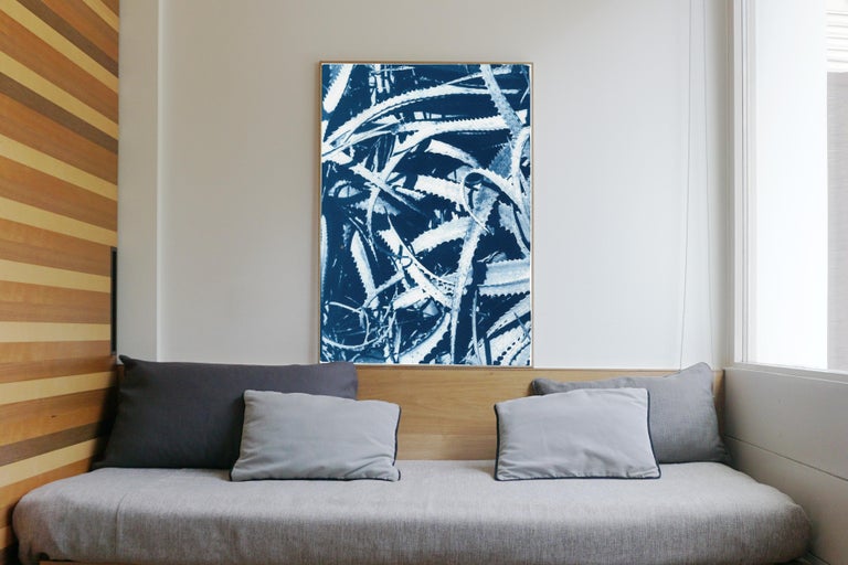 Jungle Aloe Leaves in Blue Tones, Tropical Botanical Cyanotype Print on Paper For Sale 1