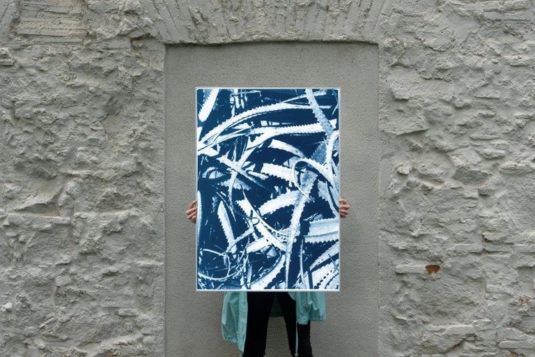Jungle Aloe Leaves in Blue Tones, Tropical Botanical Cyanotype Print on Paper For Sale 2