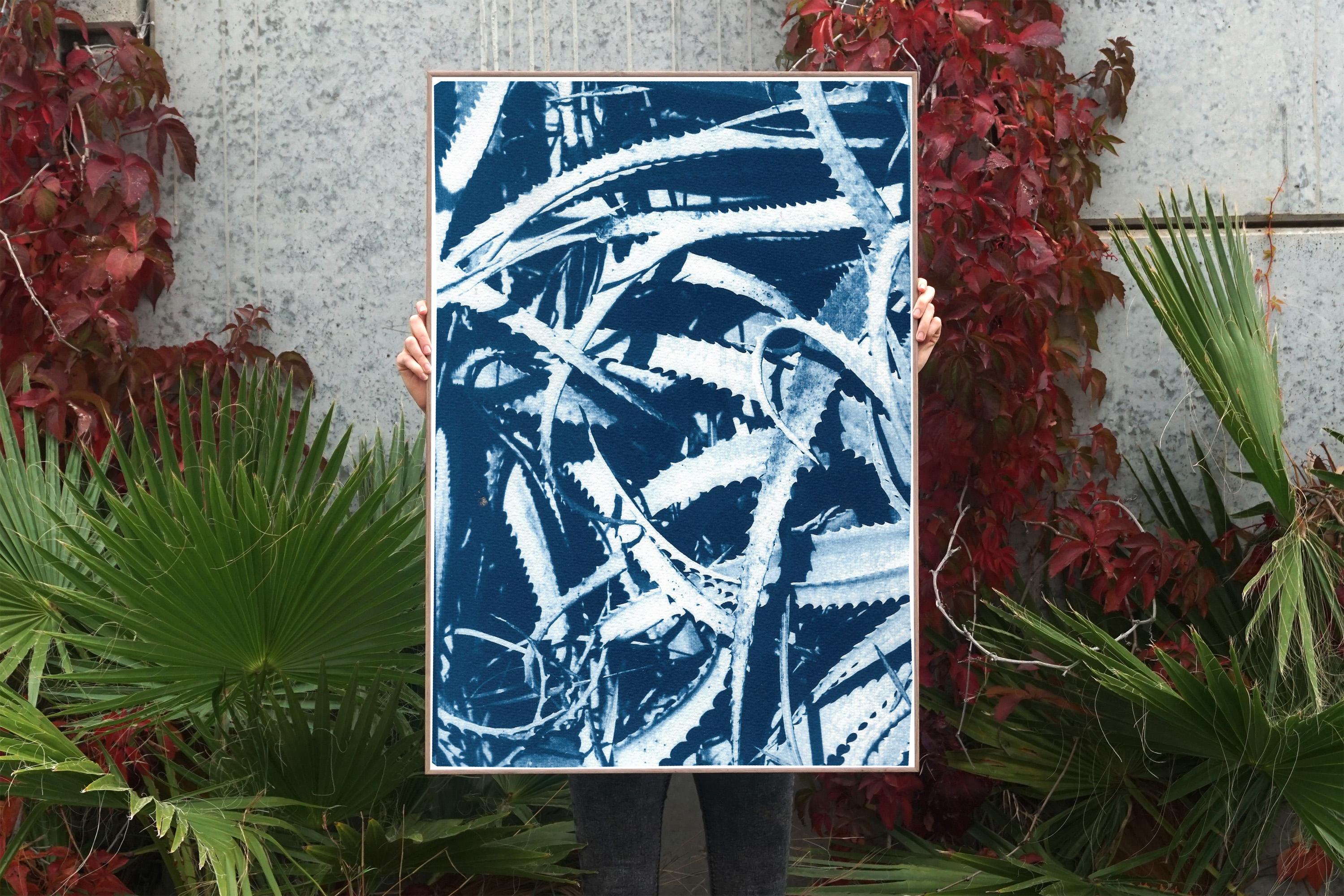 This is an exclusive handprinted limited edition cyanotype of a beautiful 