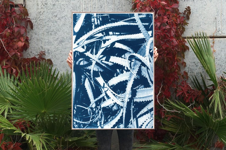 Jungle Aloe Leaves in Blue Tones, Tropical Botanical Cyanotype Print on Paper For Sale 3