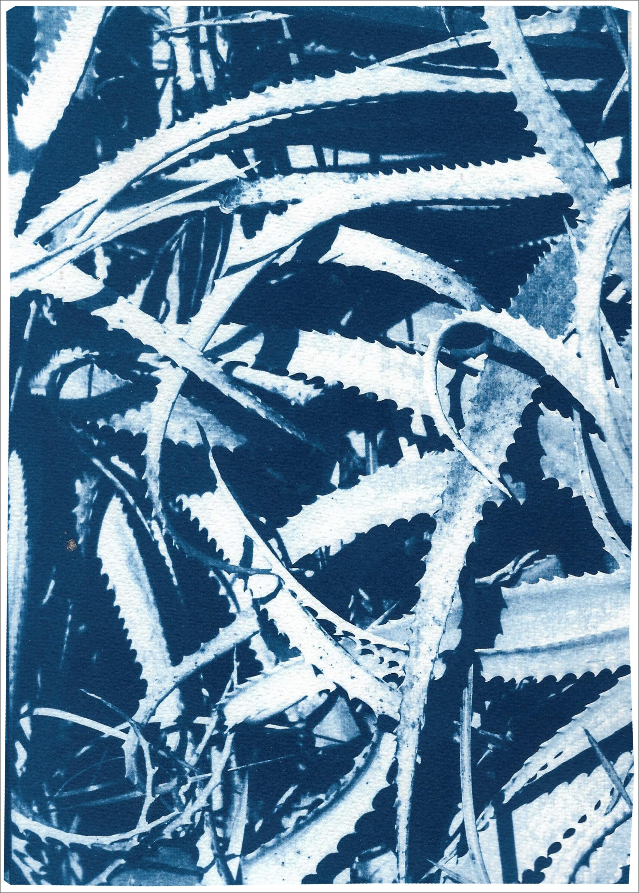 Jungle Aloe Leaves in Blue Tones, Tropical Botanical Cyanotype Print on Paper