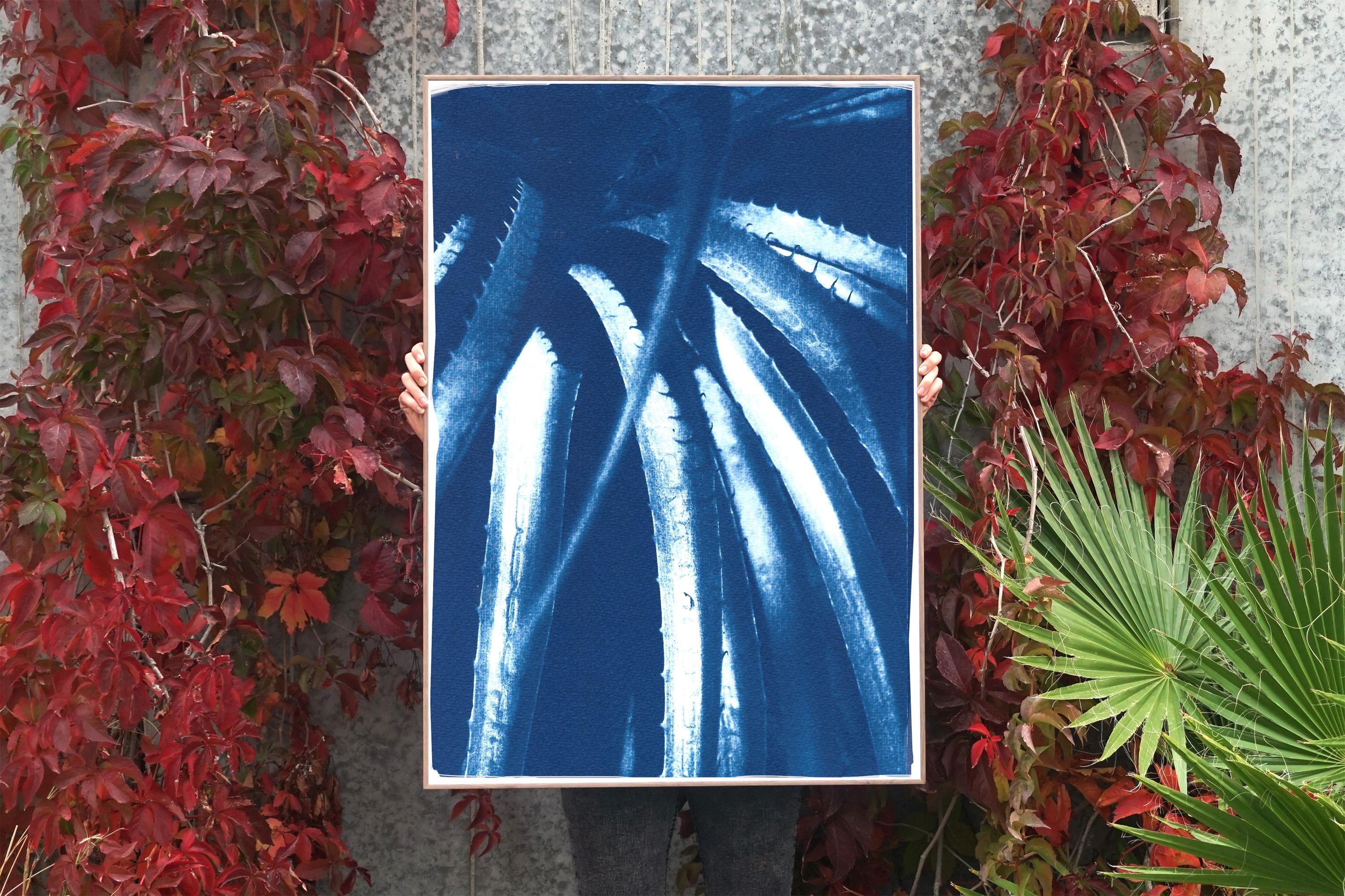 Feuilles d'aloès jurassiques, cyanotype botanique sur papier, plantes bleues, détails de la nature - Naturalisme Art par Kind of Cyan