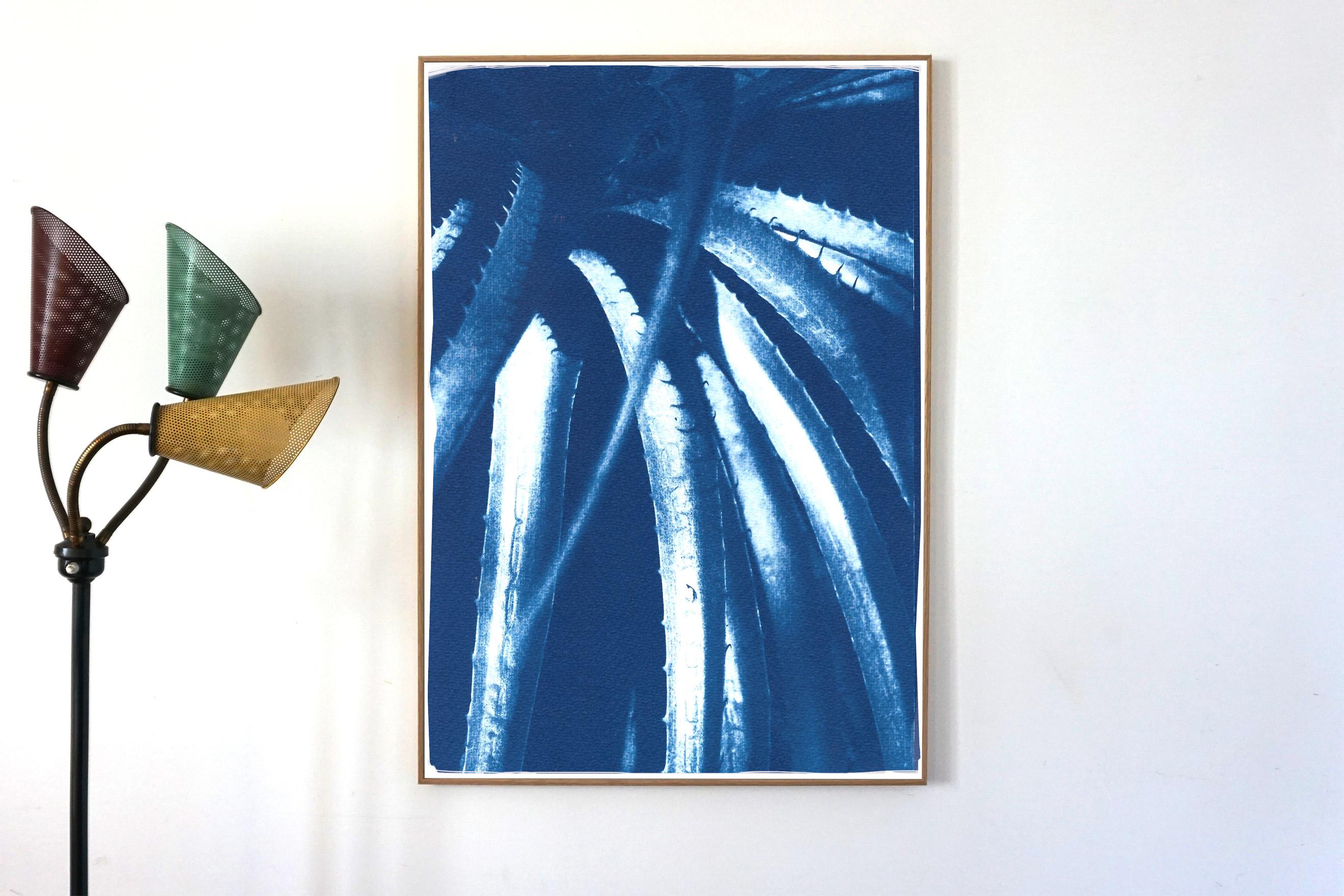 Feuilles d'aloès jurassiques, cyanotype botanique sur papier, plantes bleues, détails de la nature - Bleu Landscape Art par Kind of Cyan