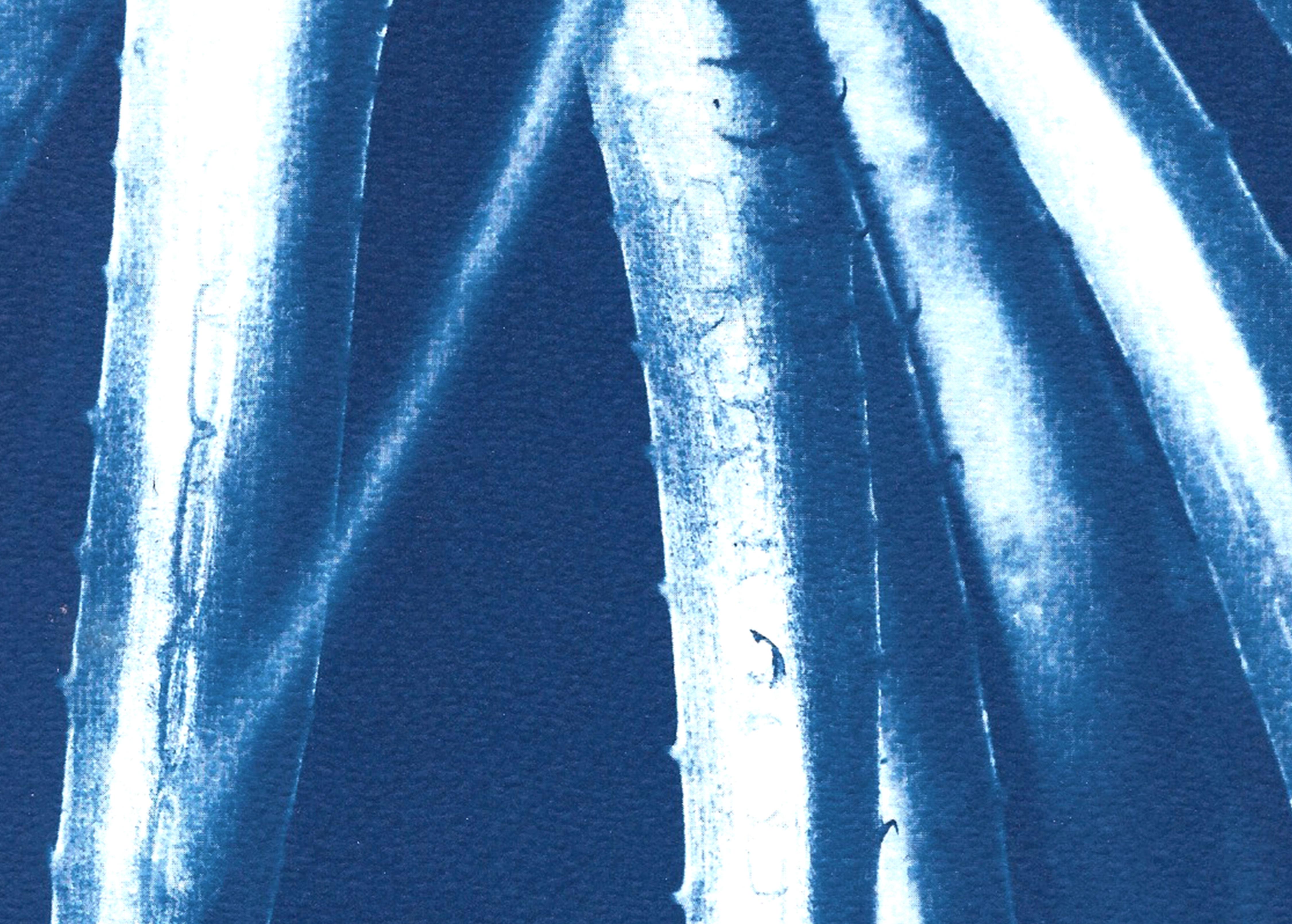 Hojas de Aloe Jurásico, Cianotipia Botánica sobre Papel, Plantas Azules, Detalles de la Naturaleza en venta 1