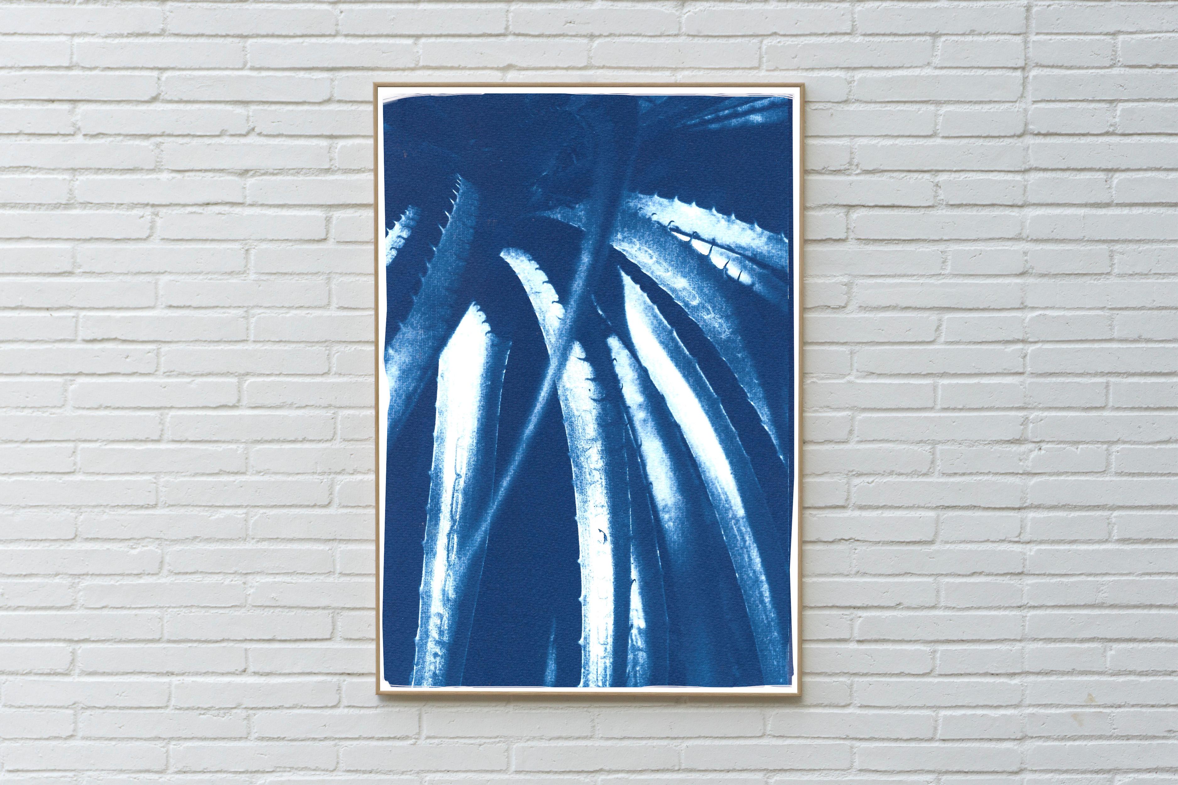 Jurassic Aloe Leaves, Botanical Cyanotype on Paper, Blue Plants, Nature Details For Sale 4