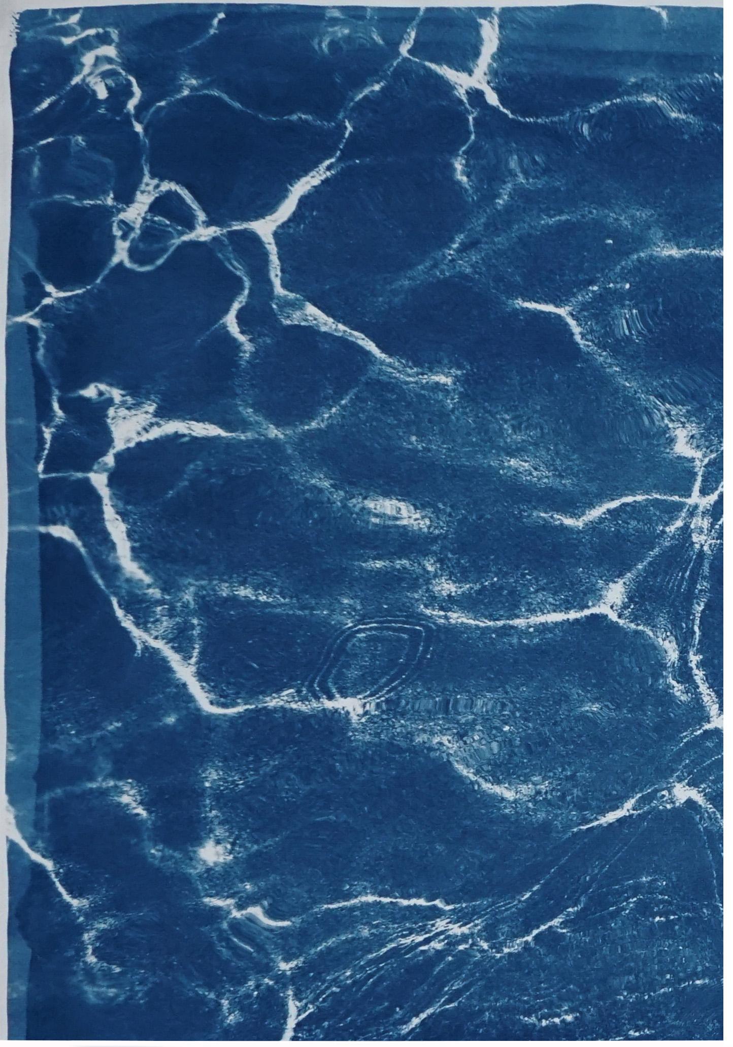 This is an exclusive handprinted limited edition cyanotype.

This beautiful triptych is called 