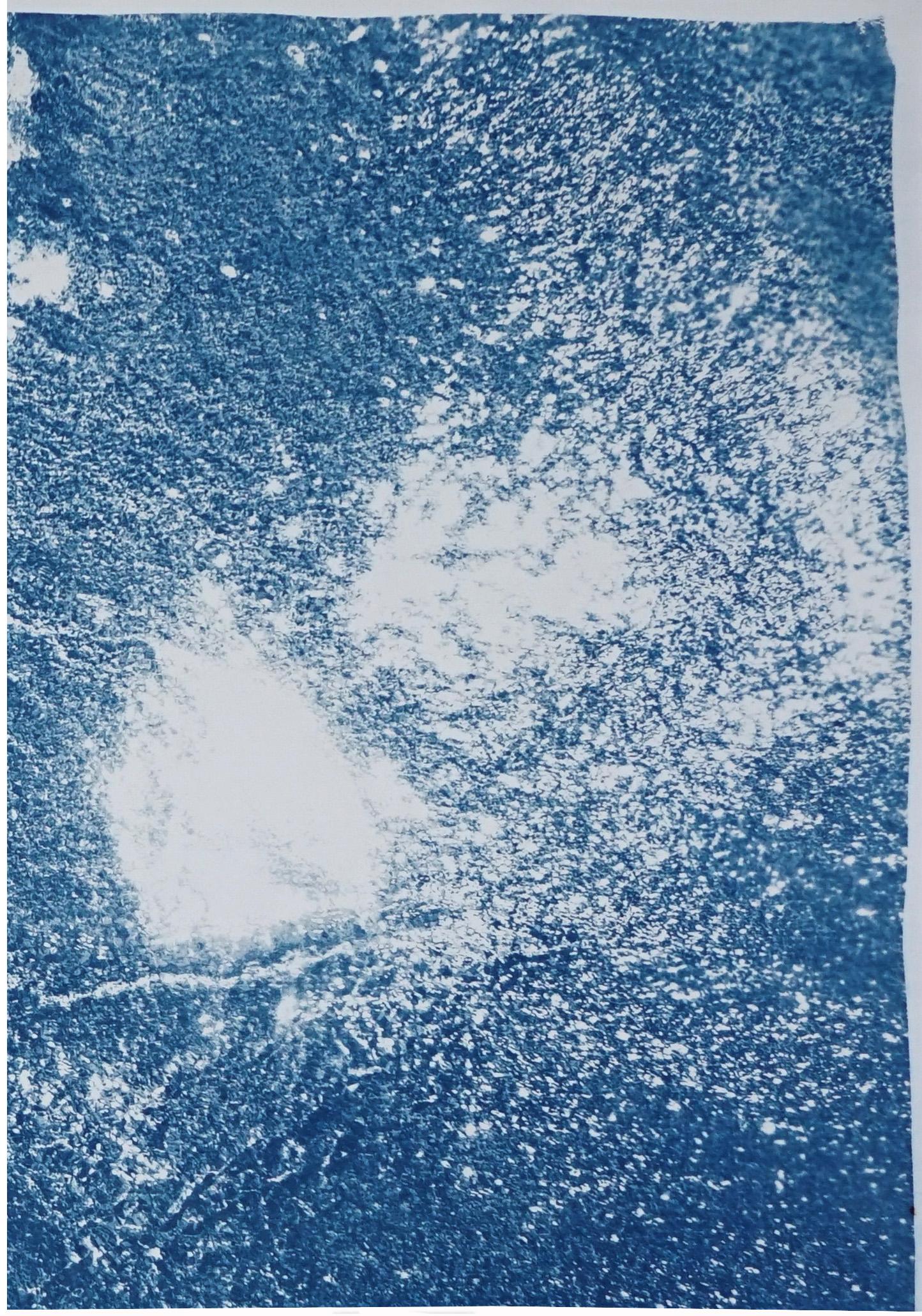 This series of cyanotype triptychs showcases the beauty of nature scenes, including stunning beaches and oceans, as well as the intricate textures of water, forests, and skies. These triptychs are large pieces that feature lush blues, making them an