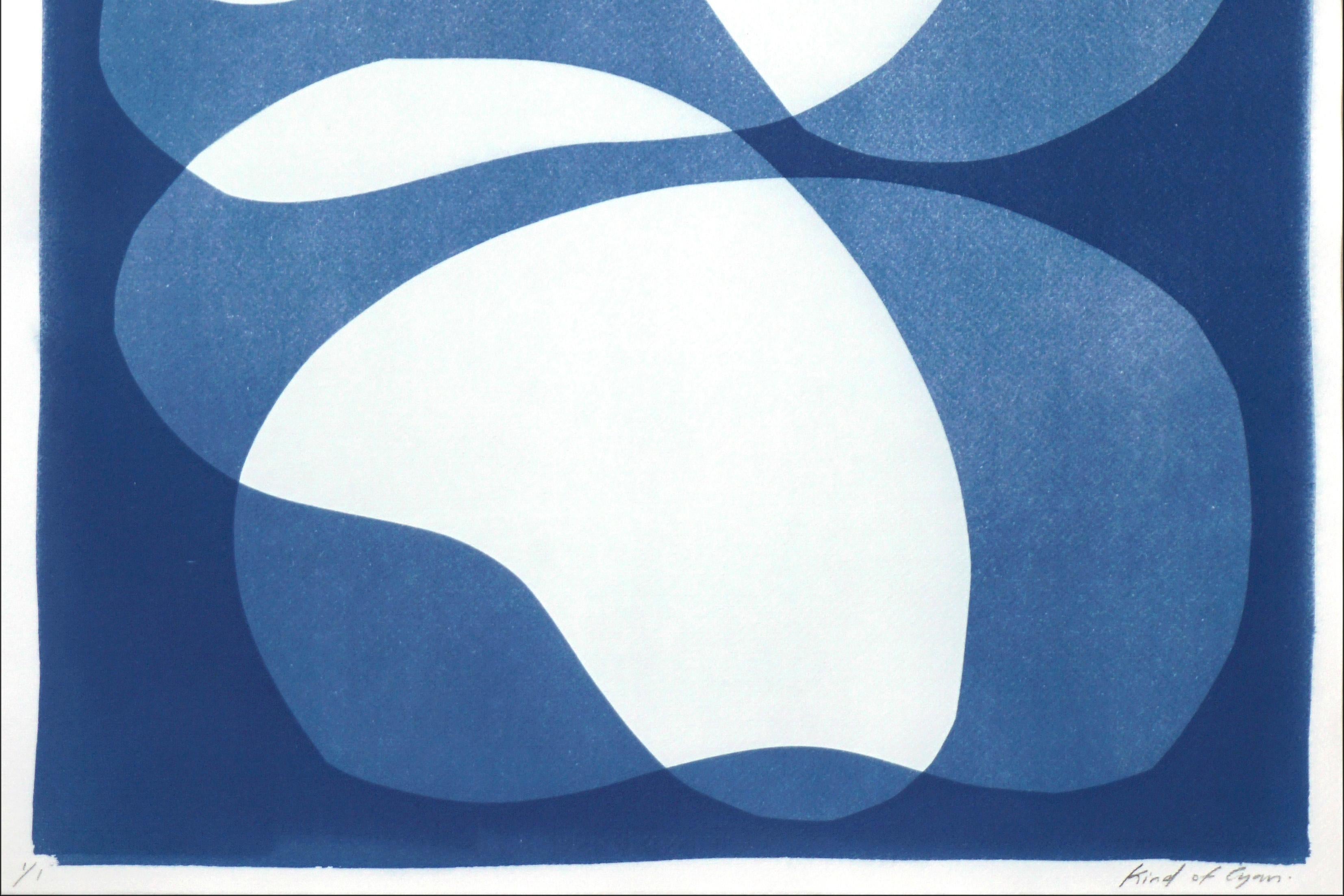 Il s'agit d'un cyanotype unique exclusif, imprimé à la main, qui s'inspire des formes modernes du milieu du siècle dernier.
Il a été réalisé en superposant des papiers découpés et différentes expositions à la lumière UV. 

Détails :
+ Titre :