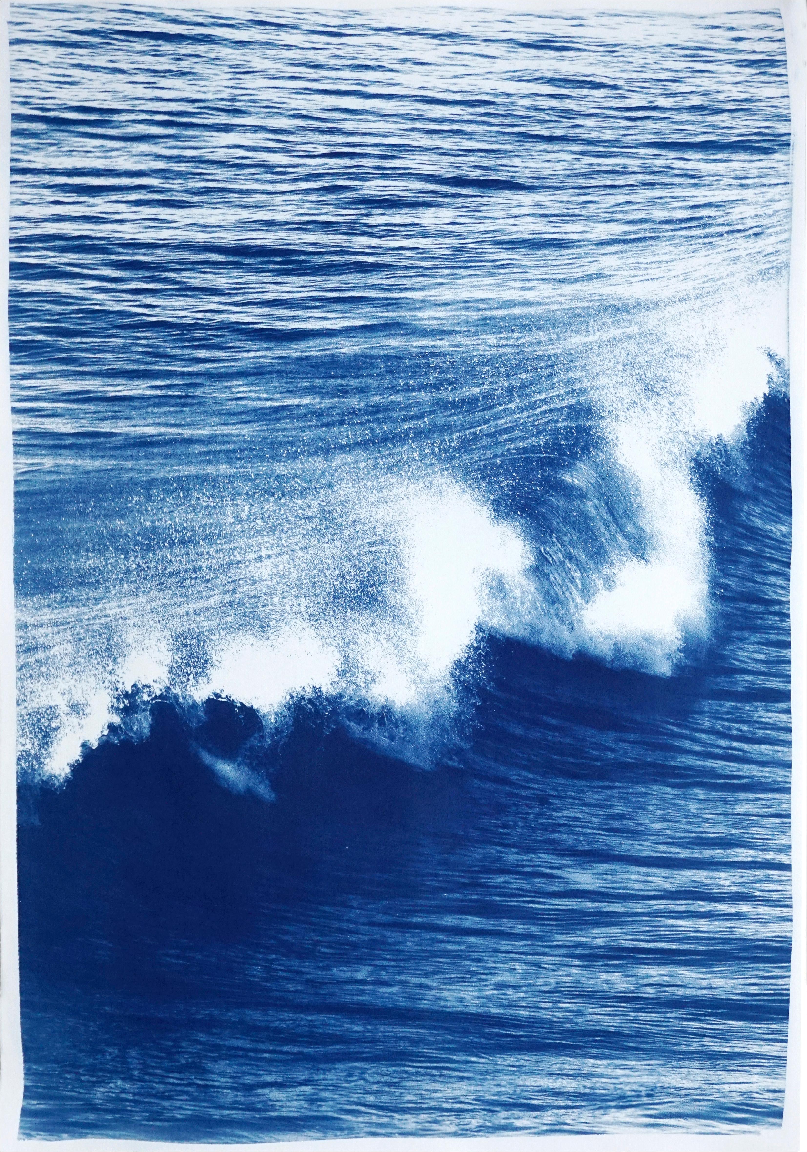 This series of cyanotype triptychs showcases the beauty of nature scenes, including stunning beaches and oceans, as well as the intricate textures of water, forests, and skies. These triptychs are large pieces that feature lush blues, making them an