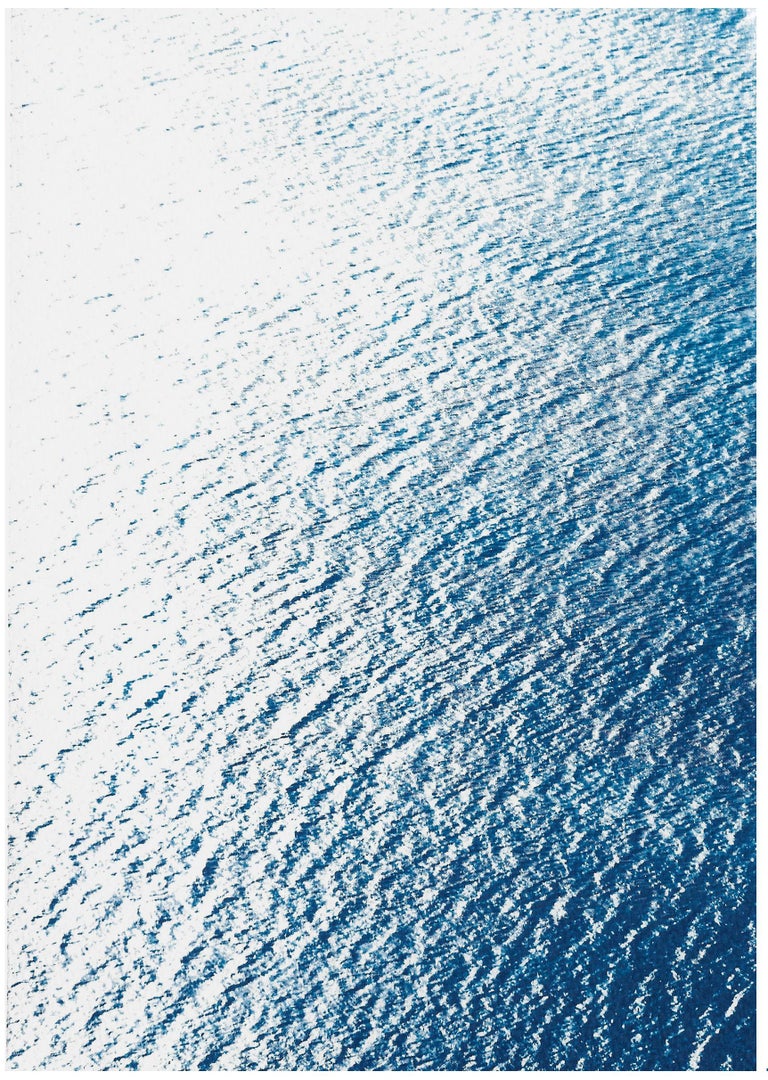 This is an exclusive handprinted limited edition cyanotype.

Details:
+ Title: Smooth Bay in the Mediterranean
+ Year: 2023
+ Edition Size: 20
+ Stamped and Certificate of Authenticity provided
+ Measurements : 100x140 cm (40 x 55 in.) Each paper