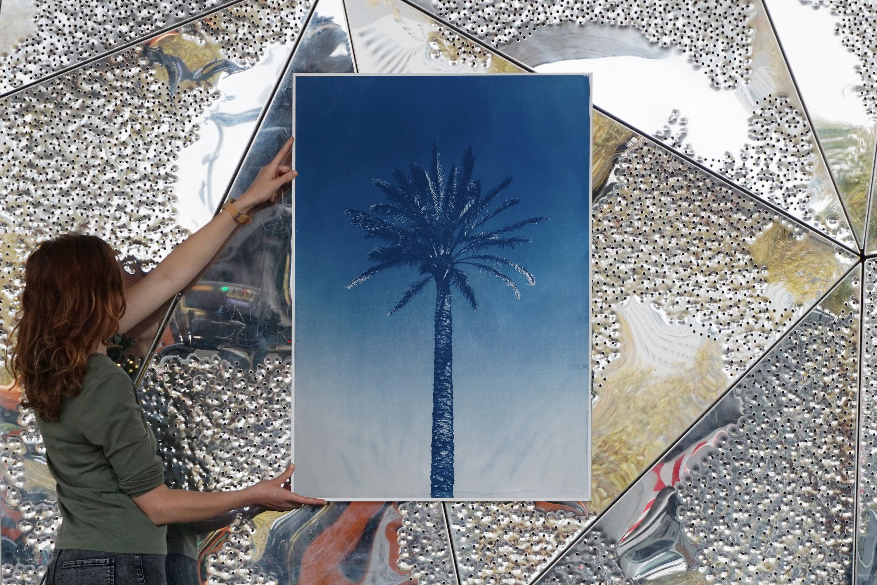 Palme de la rivière Nile, cyanotype botanique sur papier aquarelle, palmier du désert, tropical en vente 5